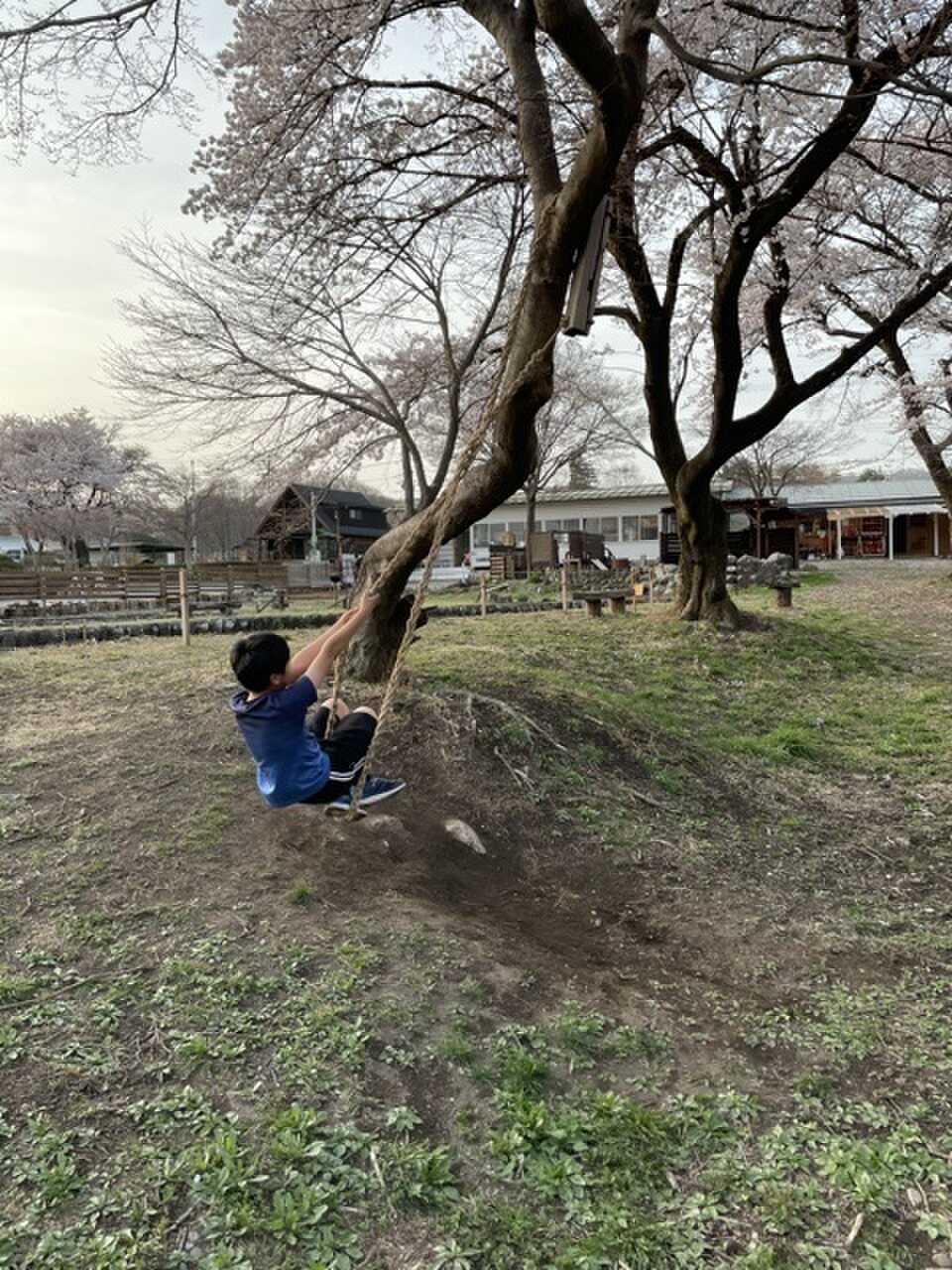 ブランコがありました