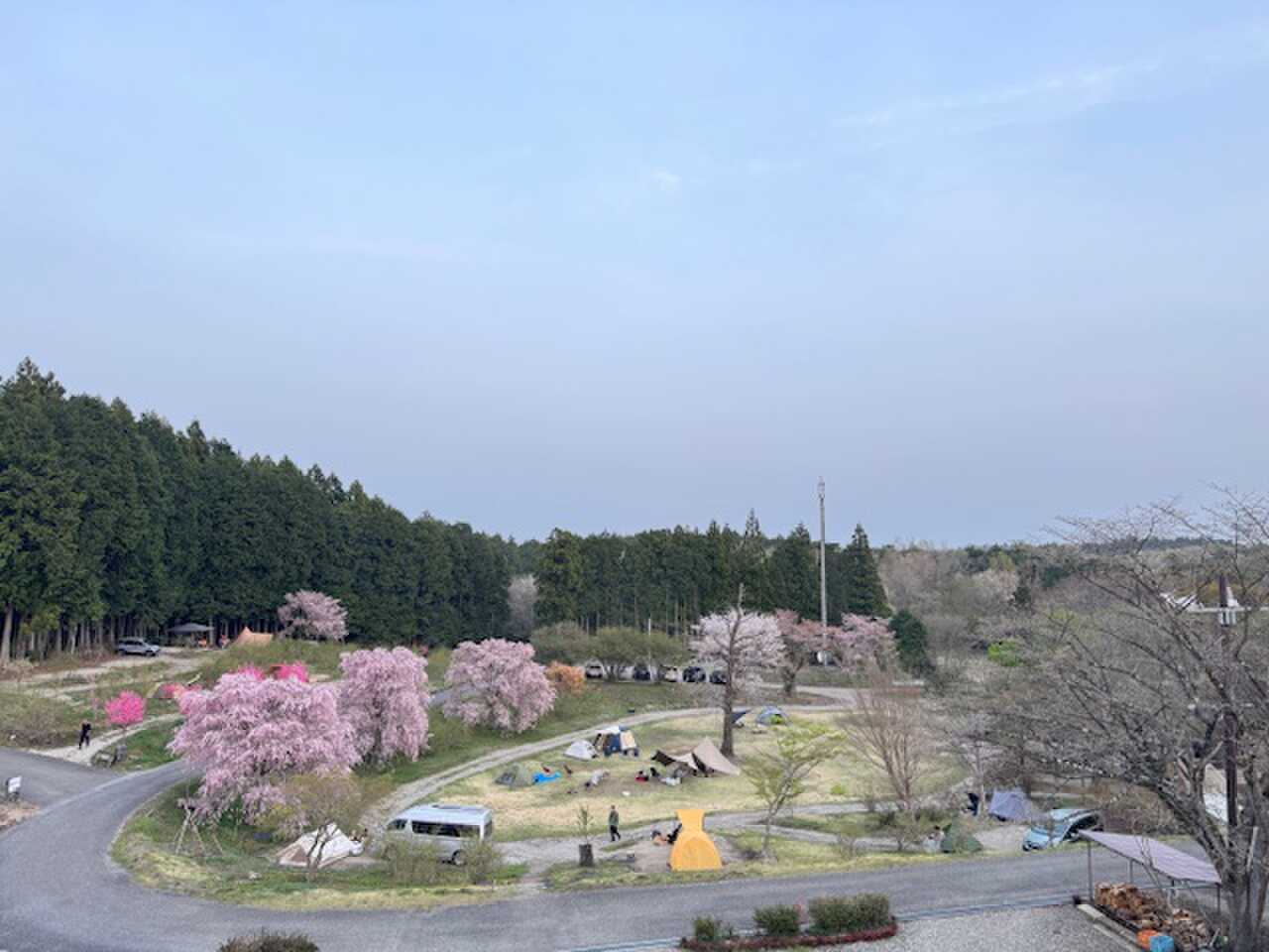 展望台より