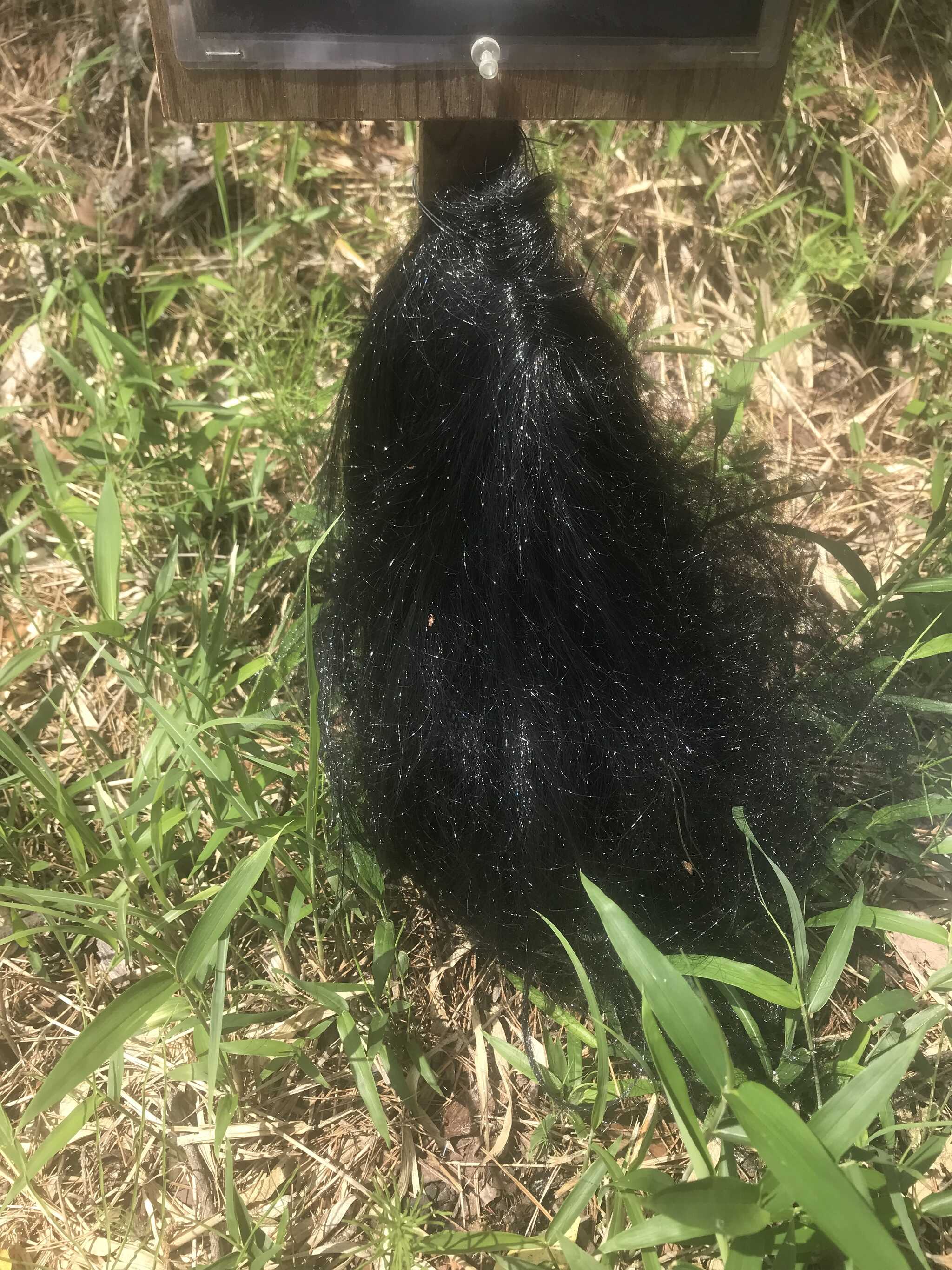 怖い公園のゲーム!