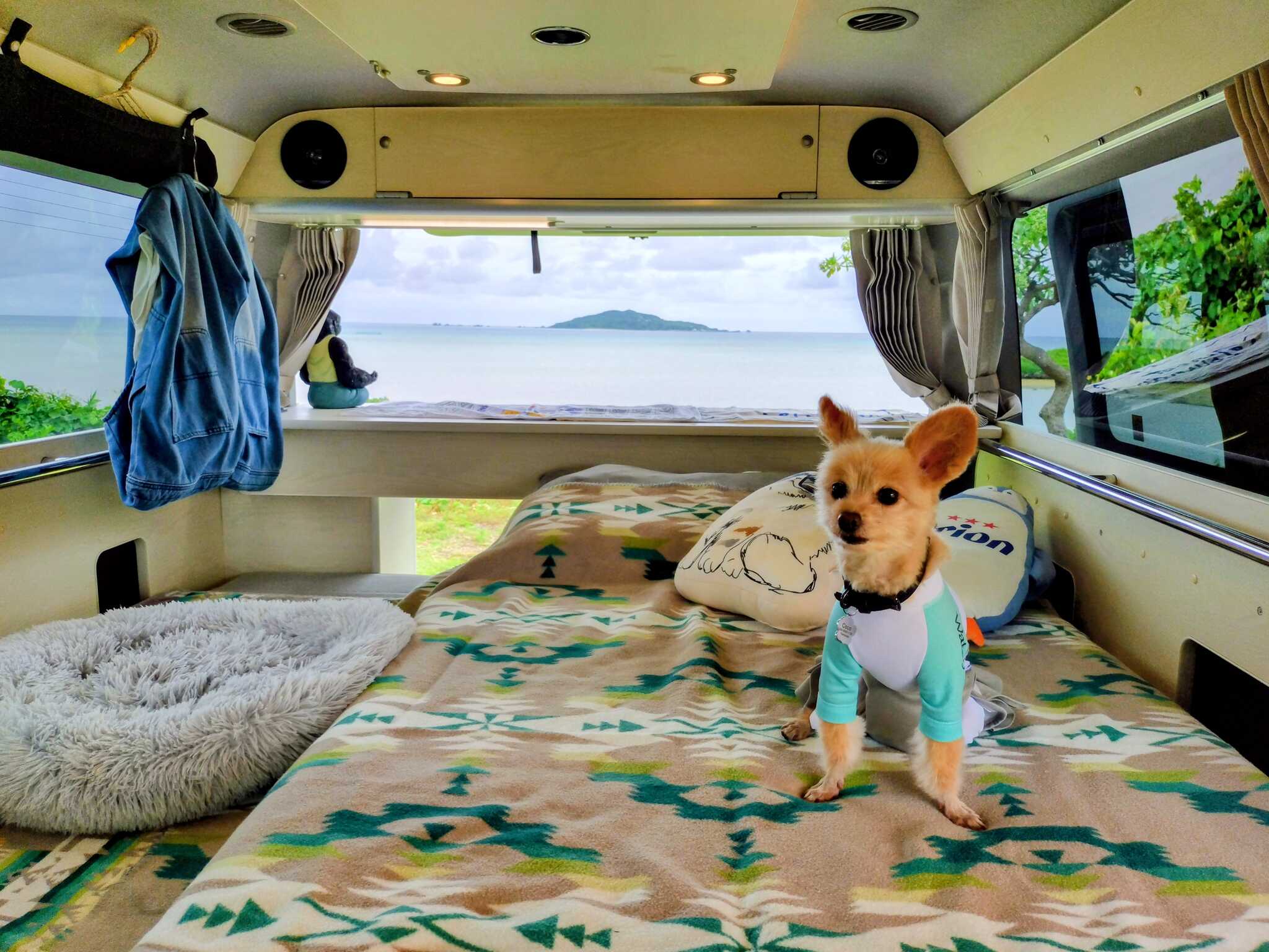 車の中から大神島