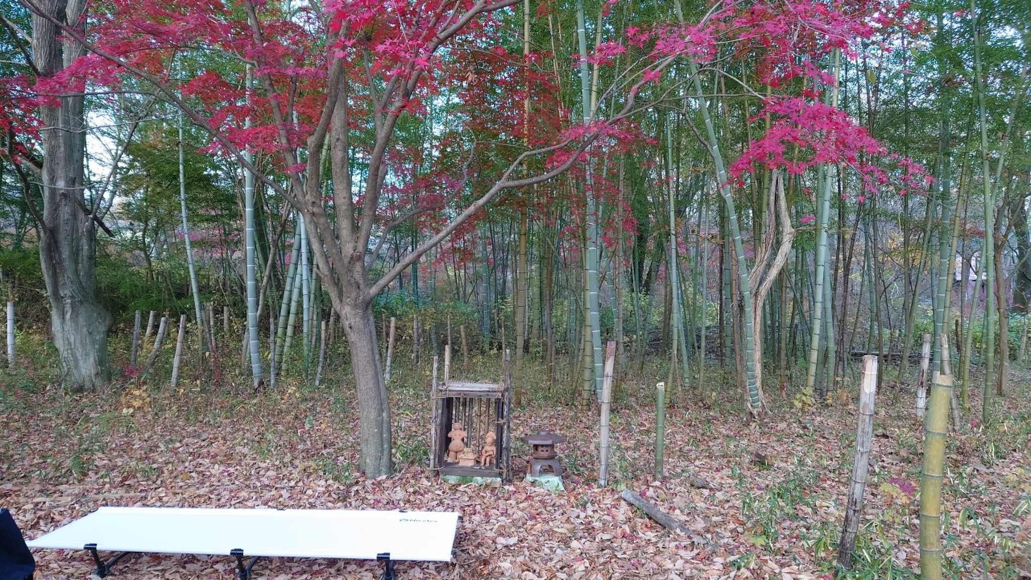 竹林サイト