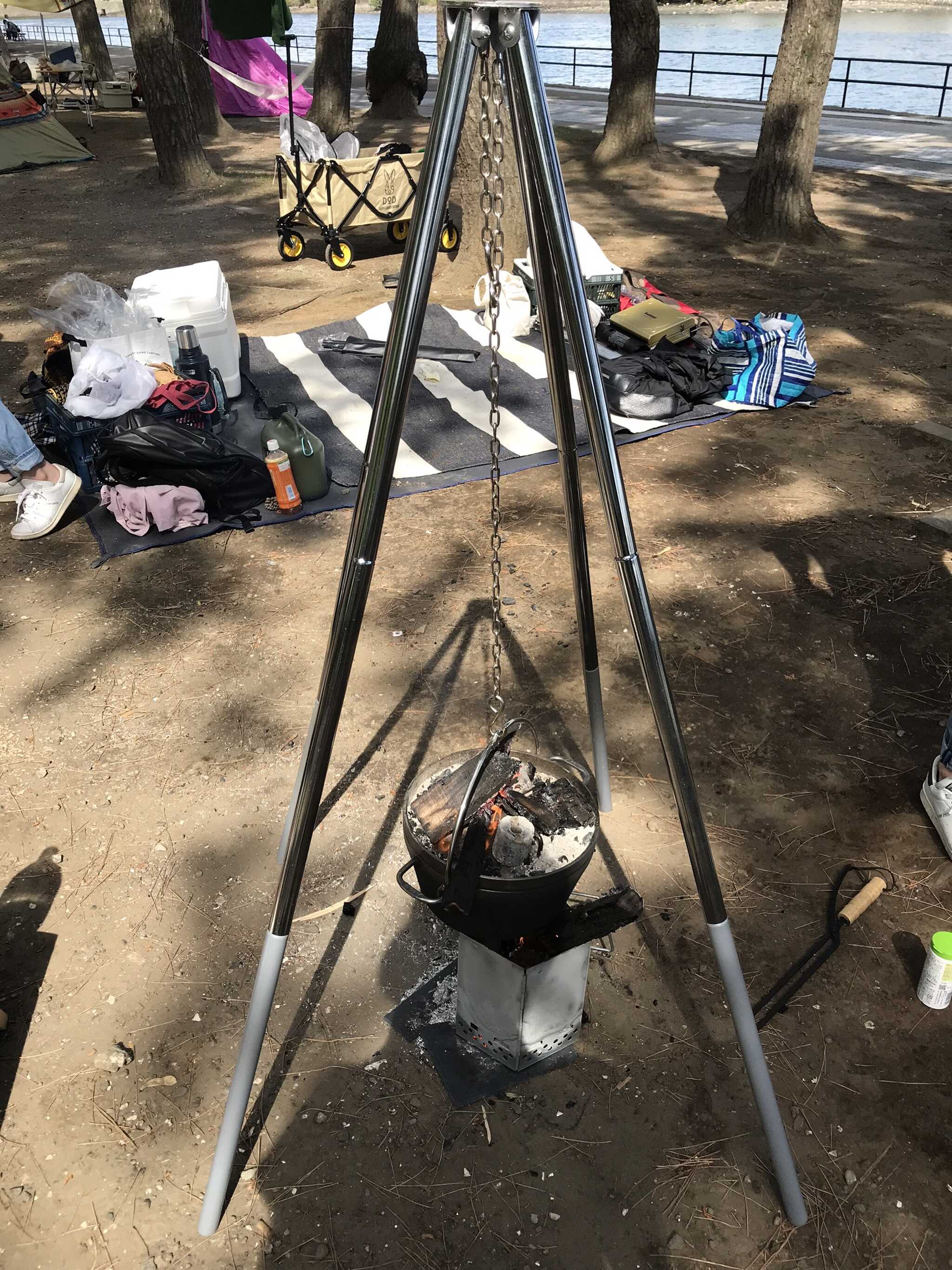野島公園の写真 5枚目