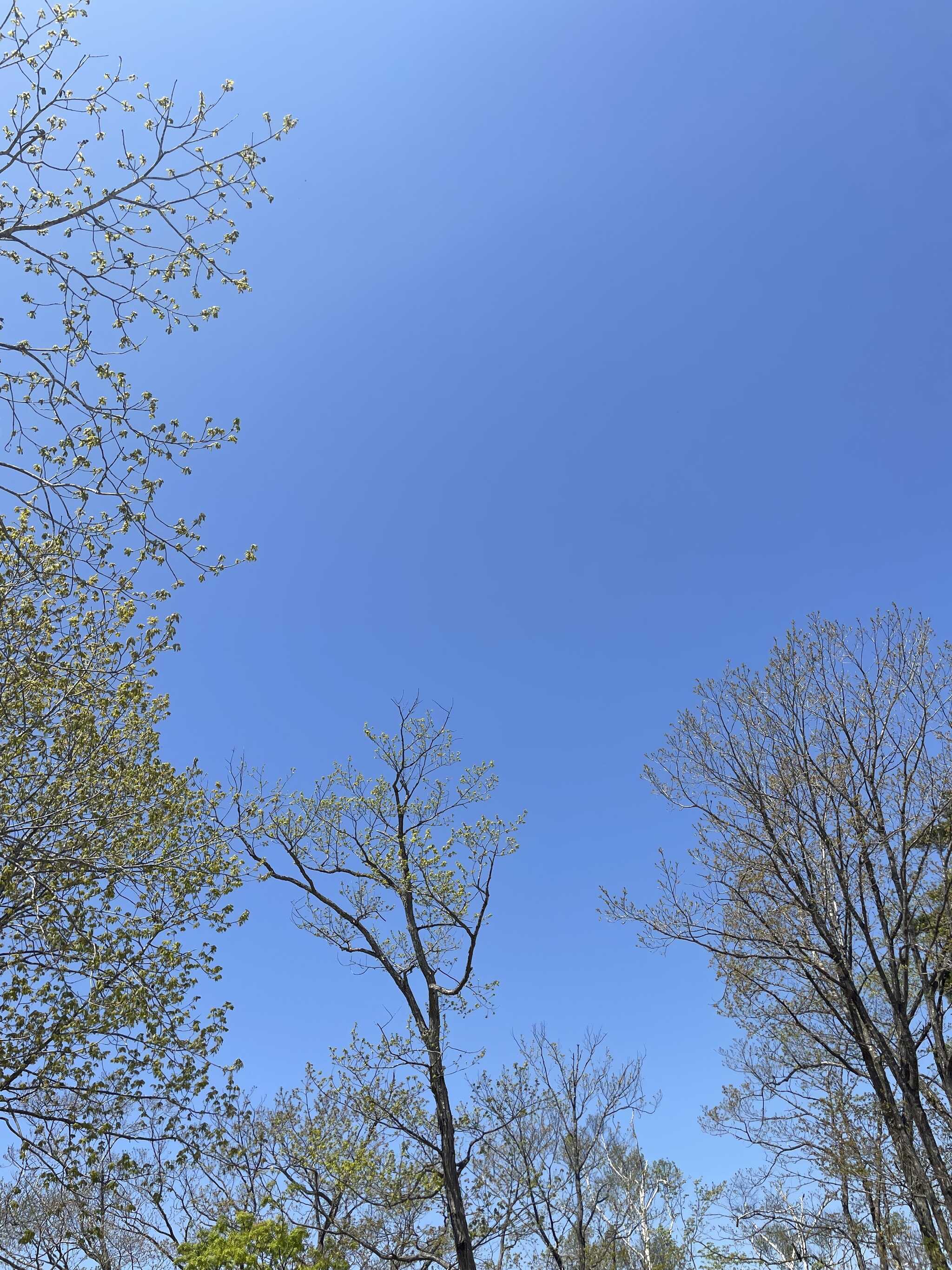 サイトから見た空