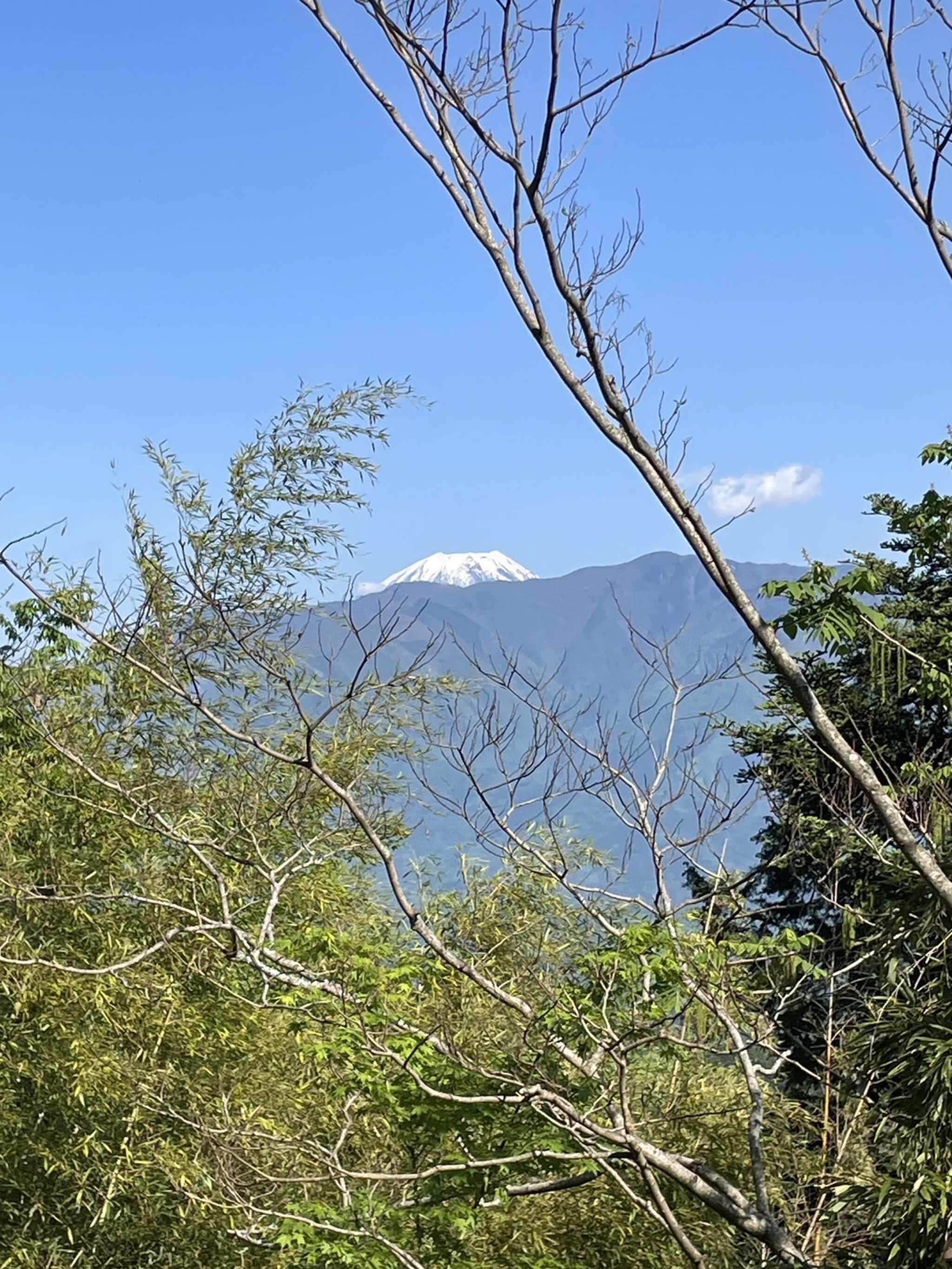 富士山見えます