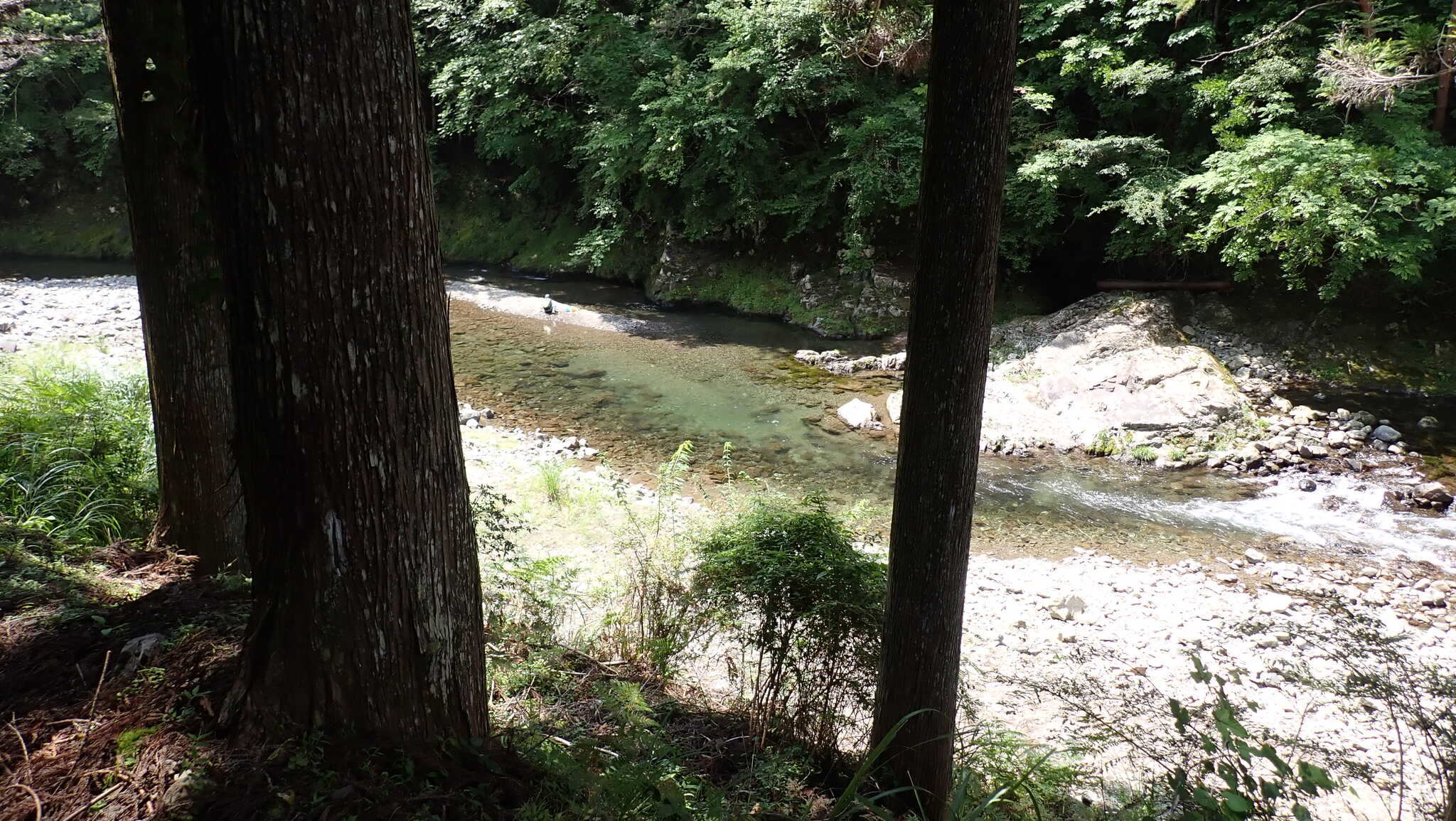 川の流れに注意