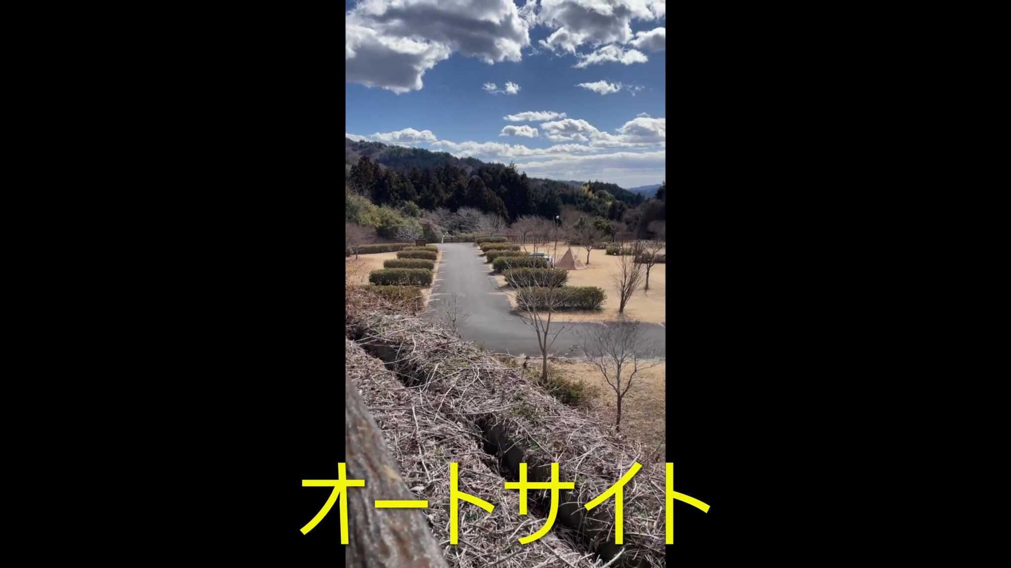 オートサイト