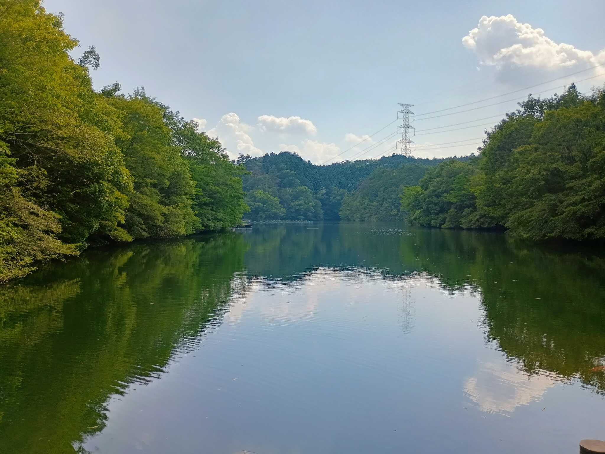 湖の散策路から