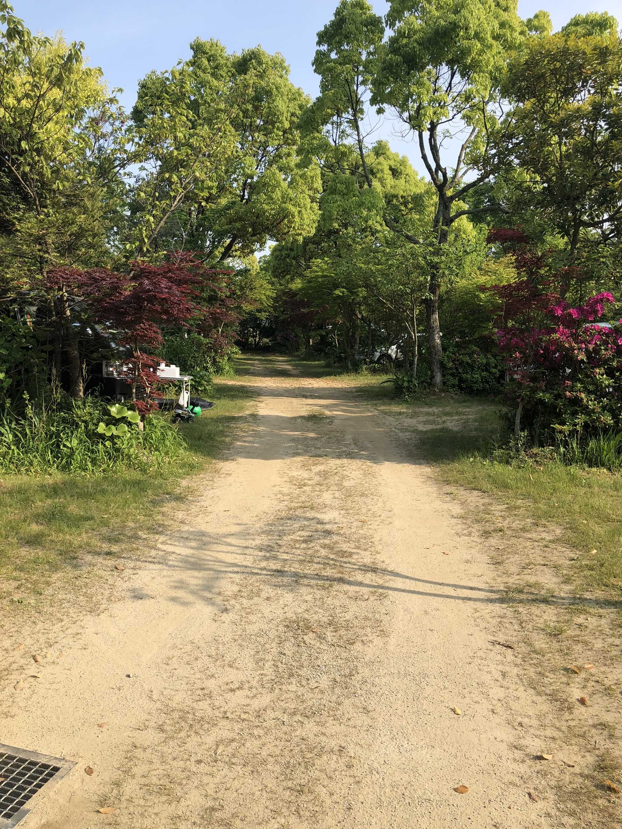 キャンプ場の雰囲気、それぞれ左右に区画あり