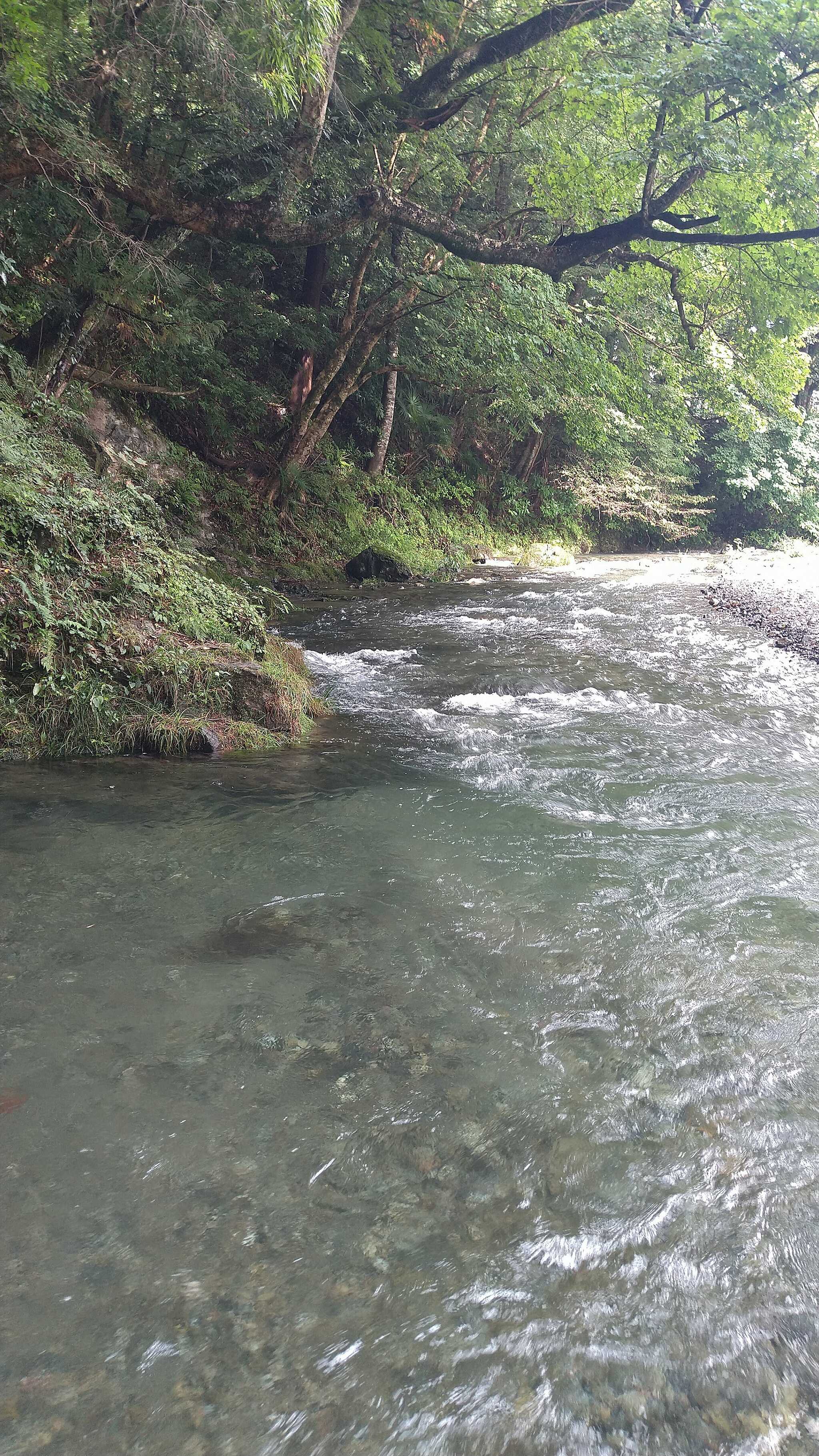 きれいな施設内を流れる名栗川