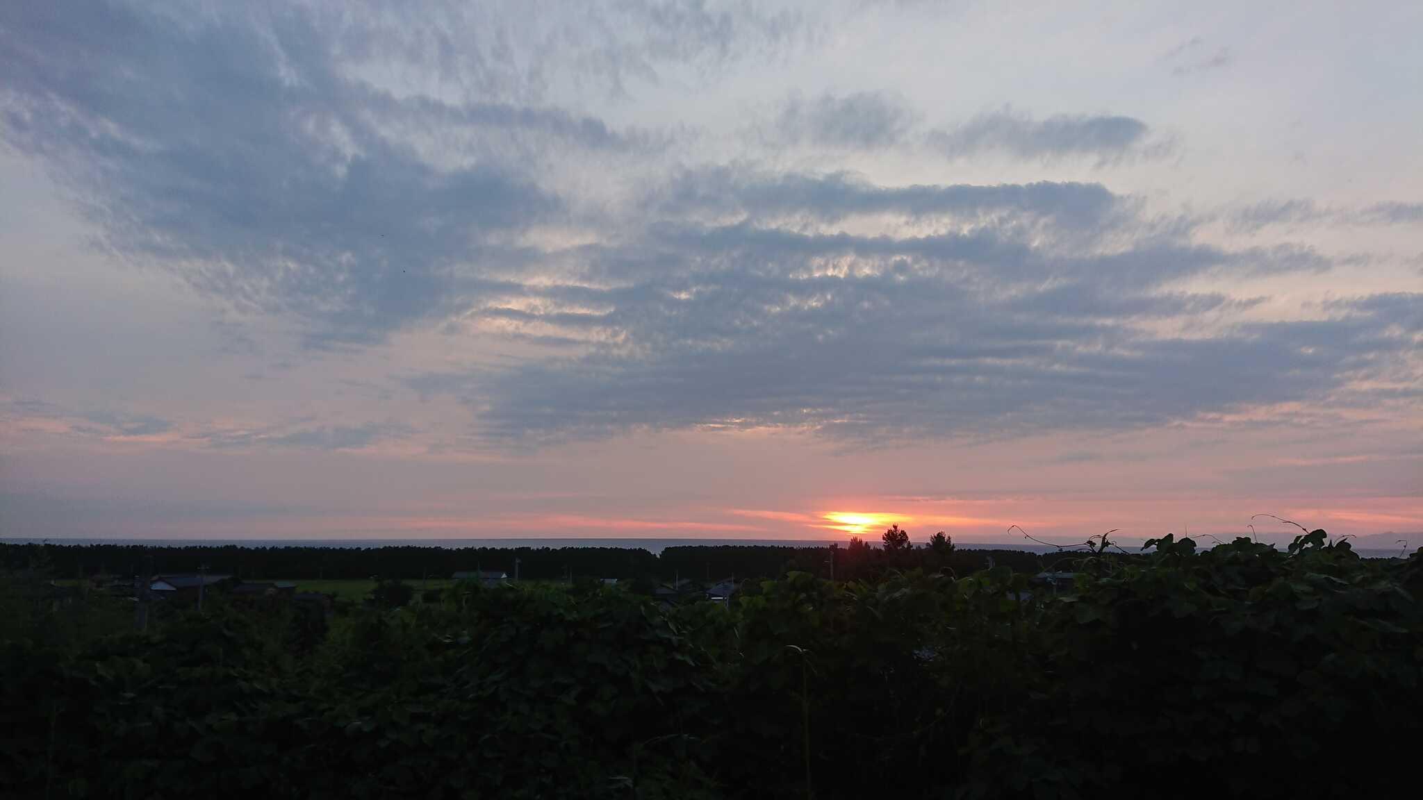サイトからの夕日です