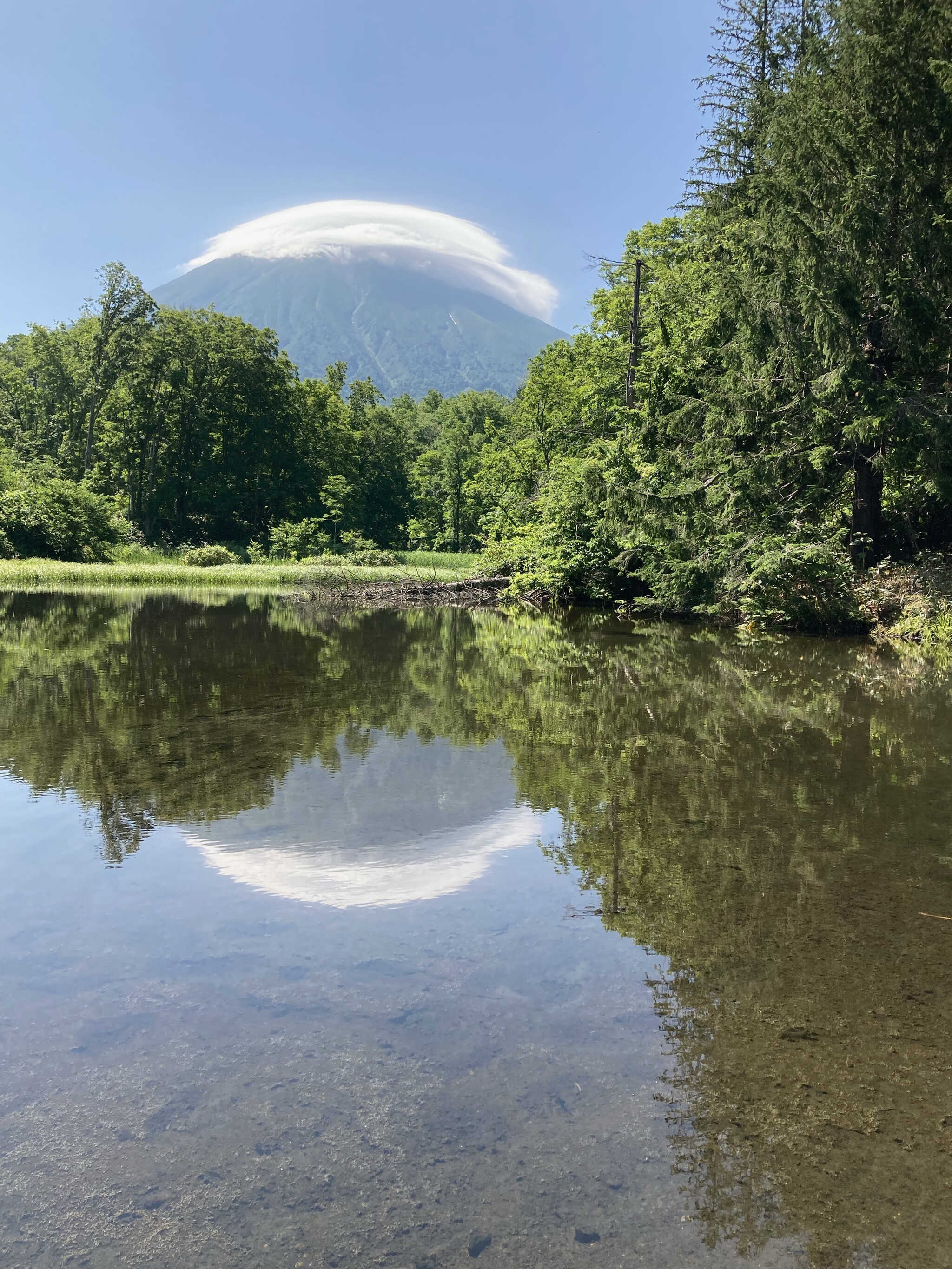 湧き水の池