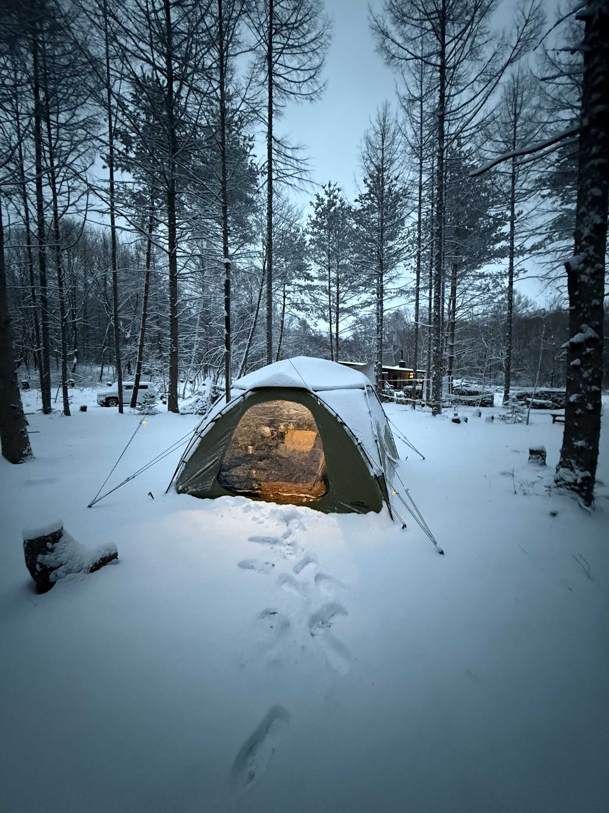降雪あり