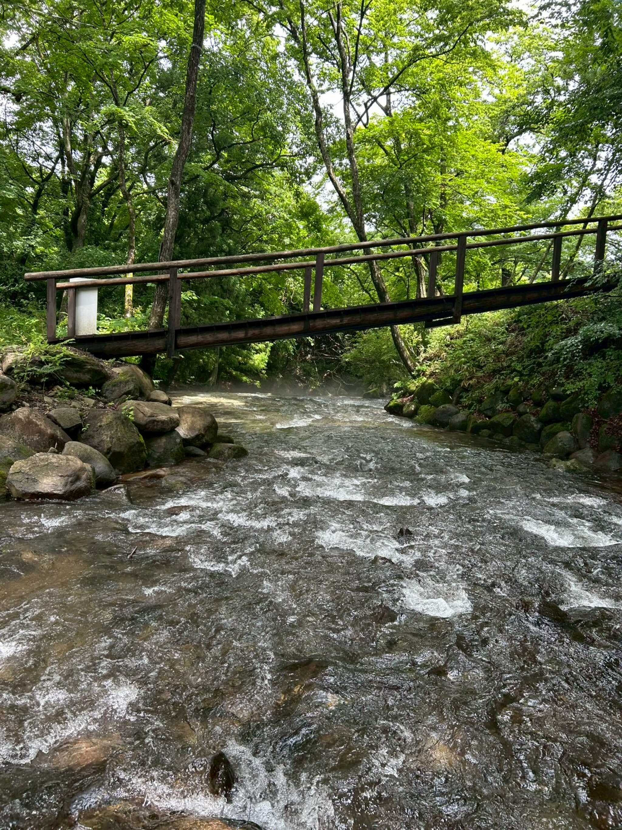 場内の清流