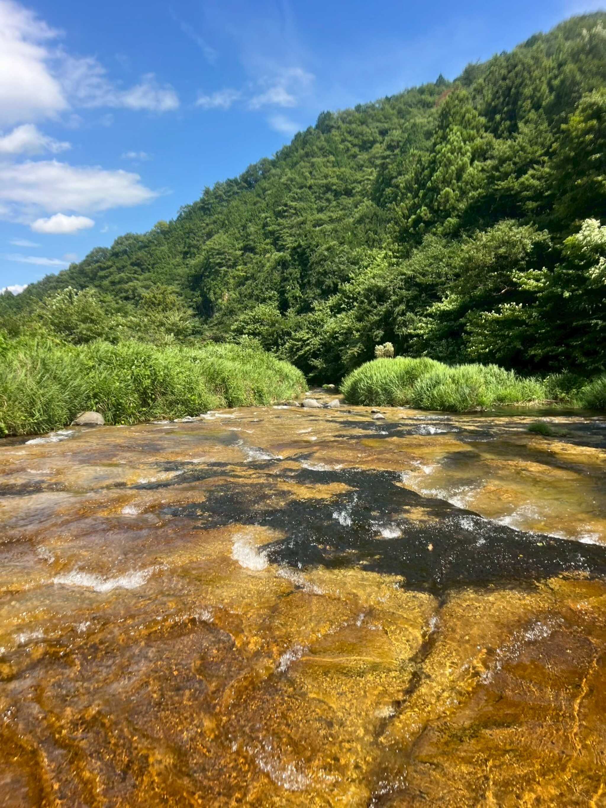場内の清流