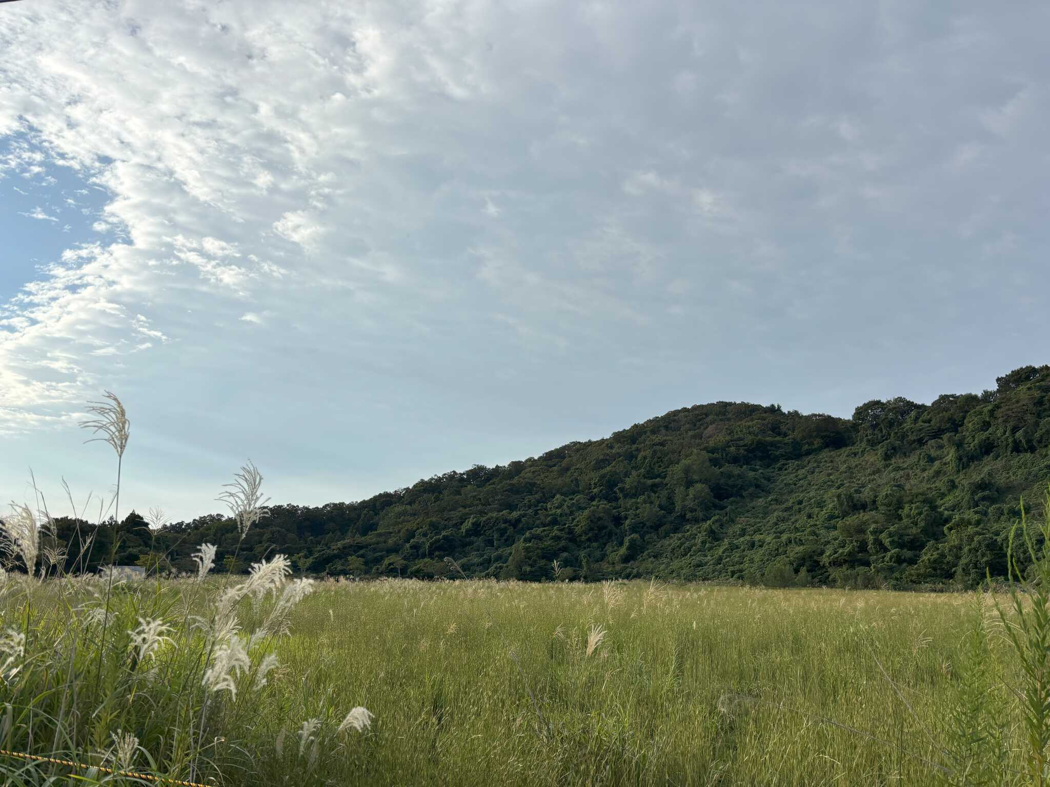 キャンプ場