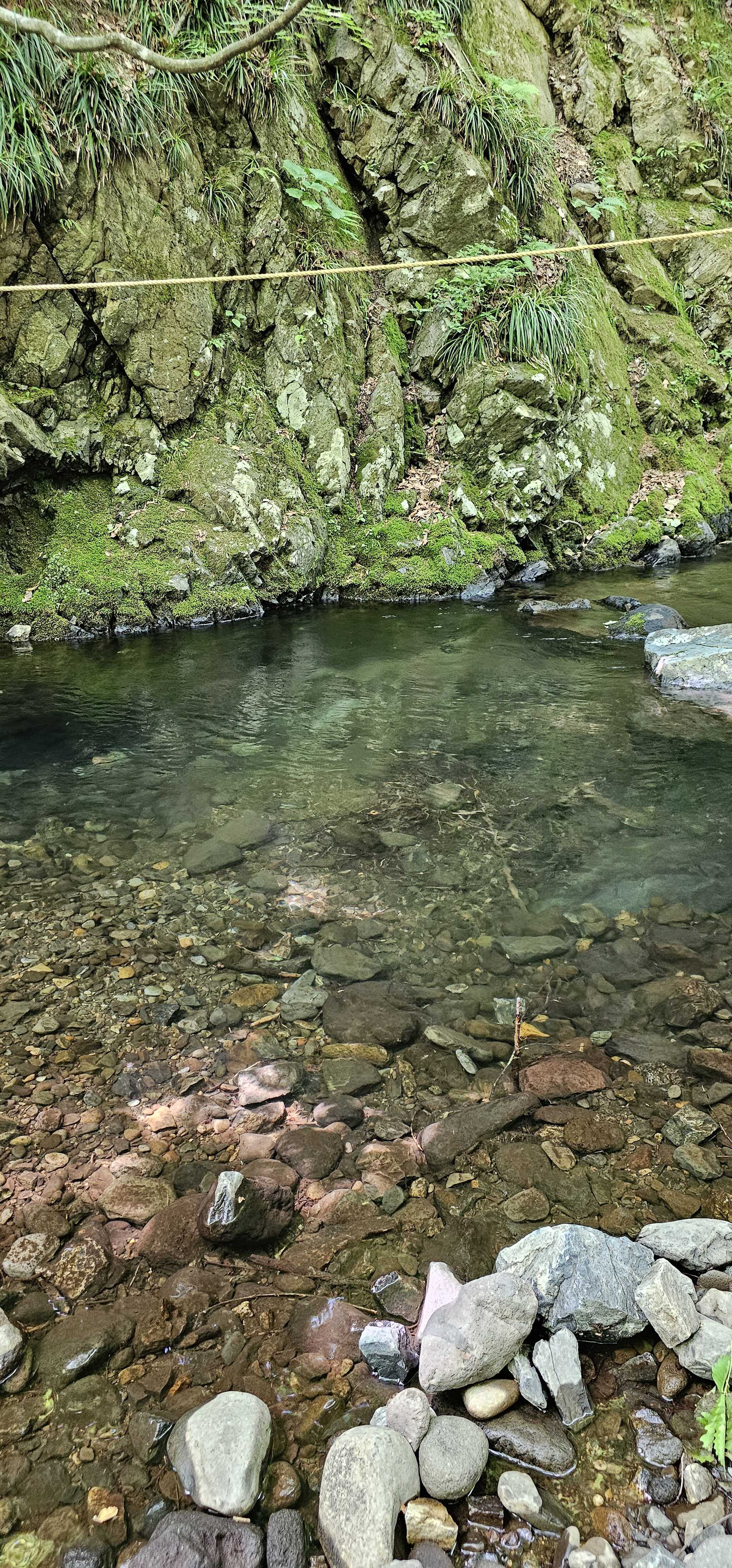 透明度の高い川