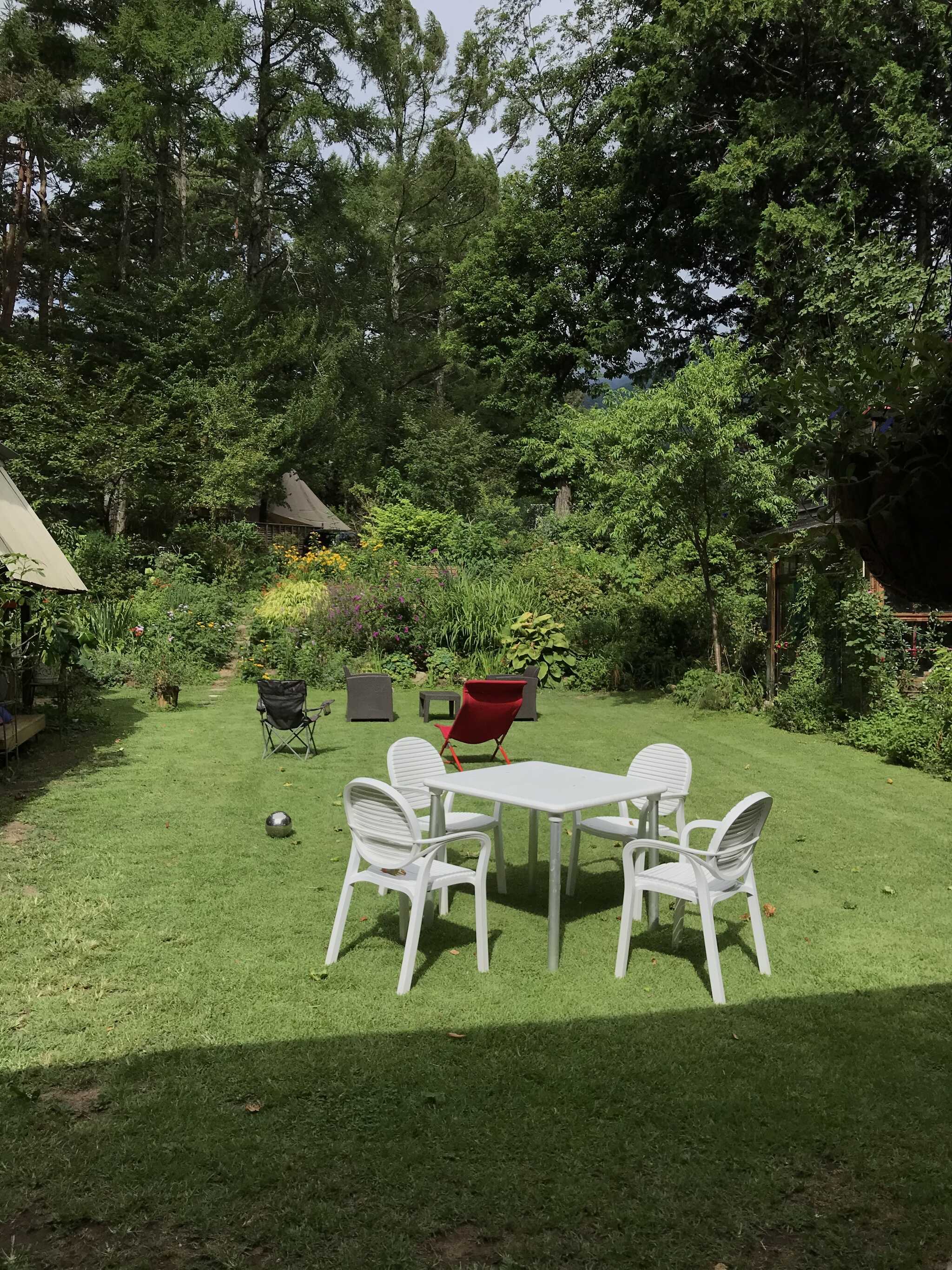 チェックイン時の風景。奥に見えるのが宿泊するテントです。