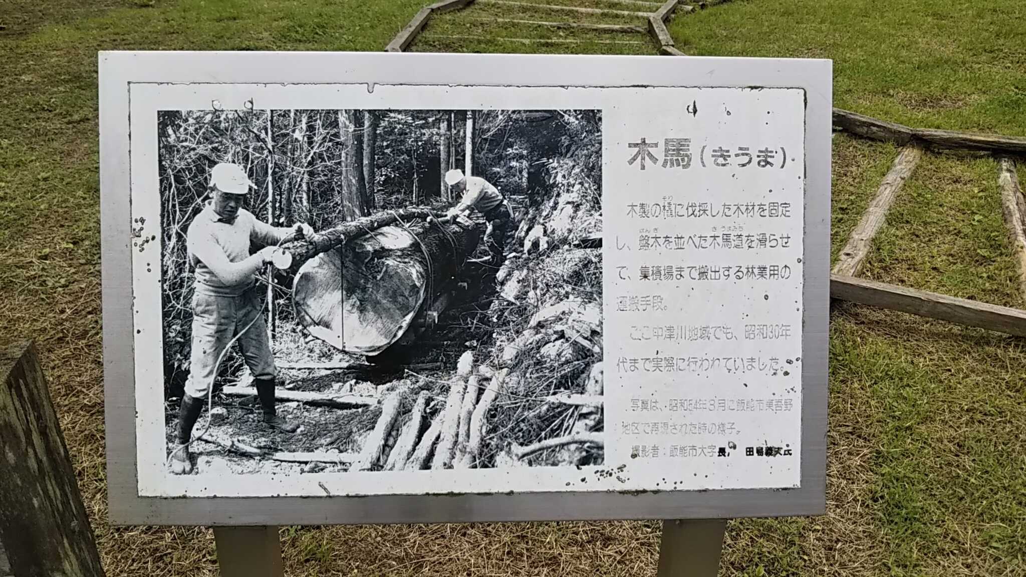 森林科学館中庭の木馬の説明