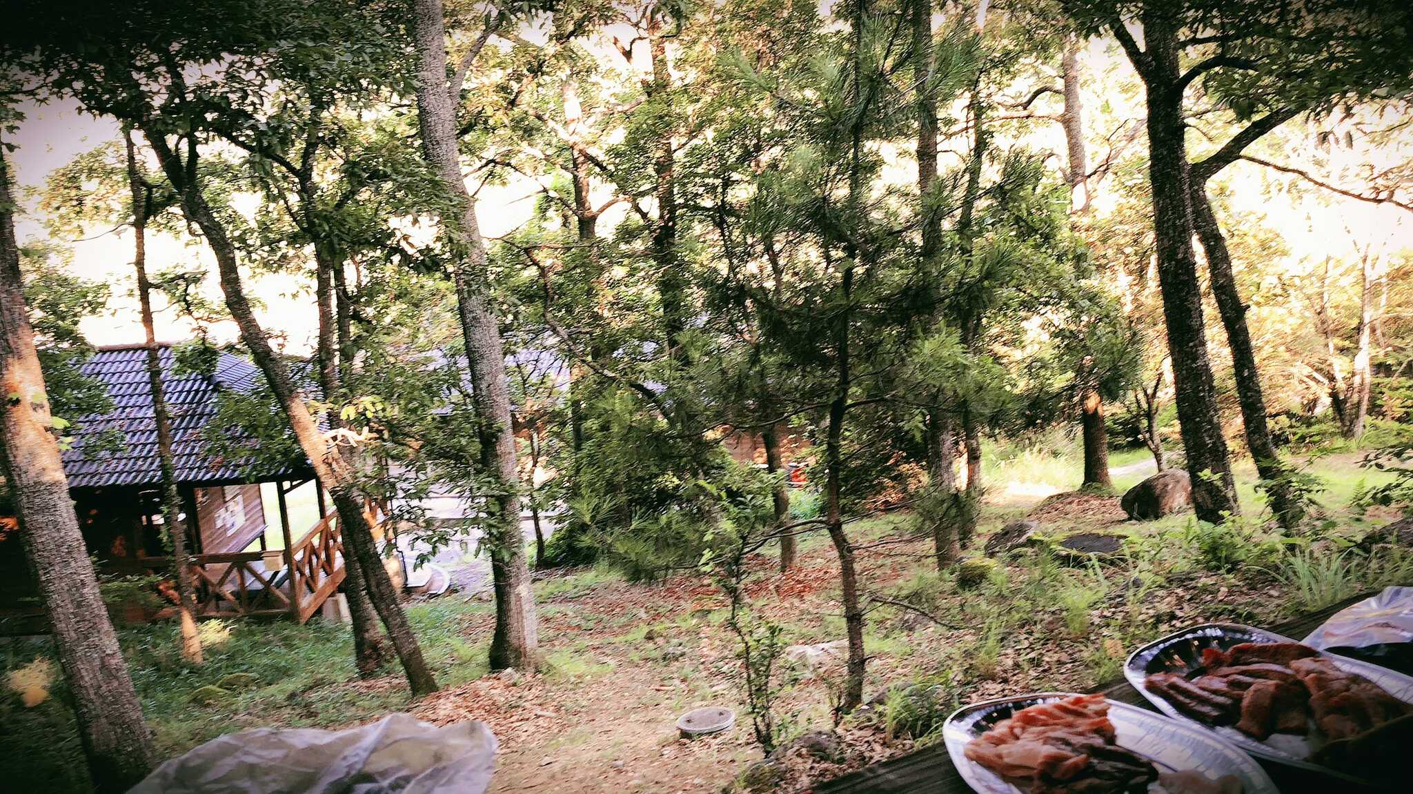 見通しが良く、雑草等もなかったです。