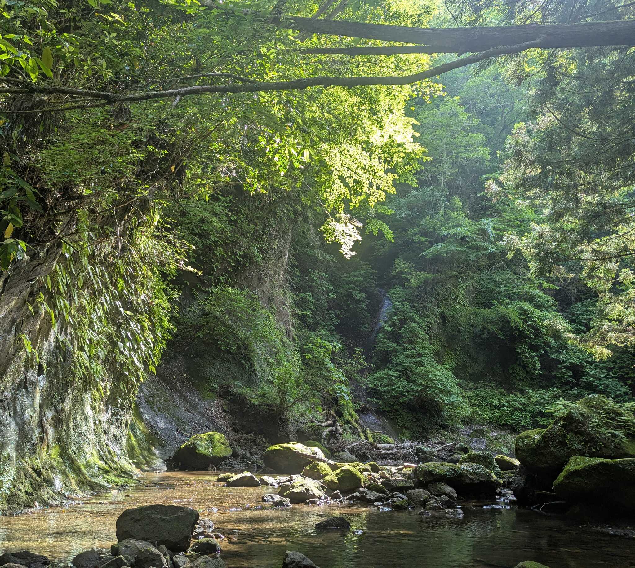 近くの川