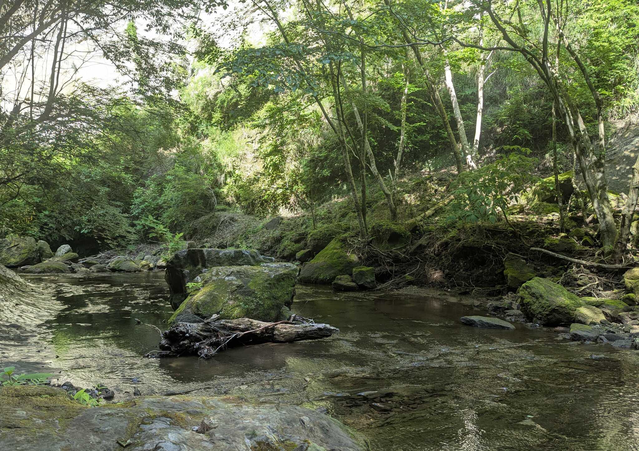 近くの川