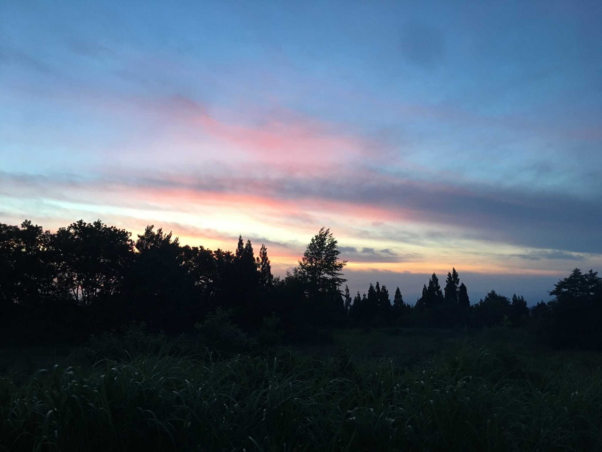 夕焼け