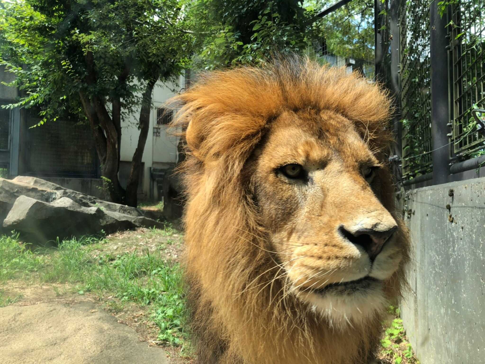 石川動物園