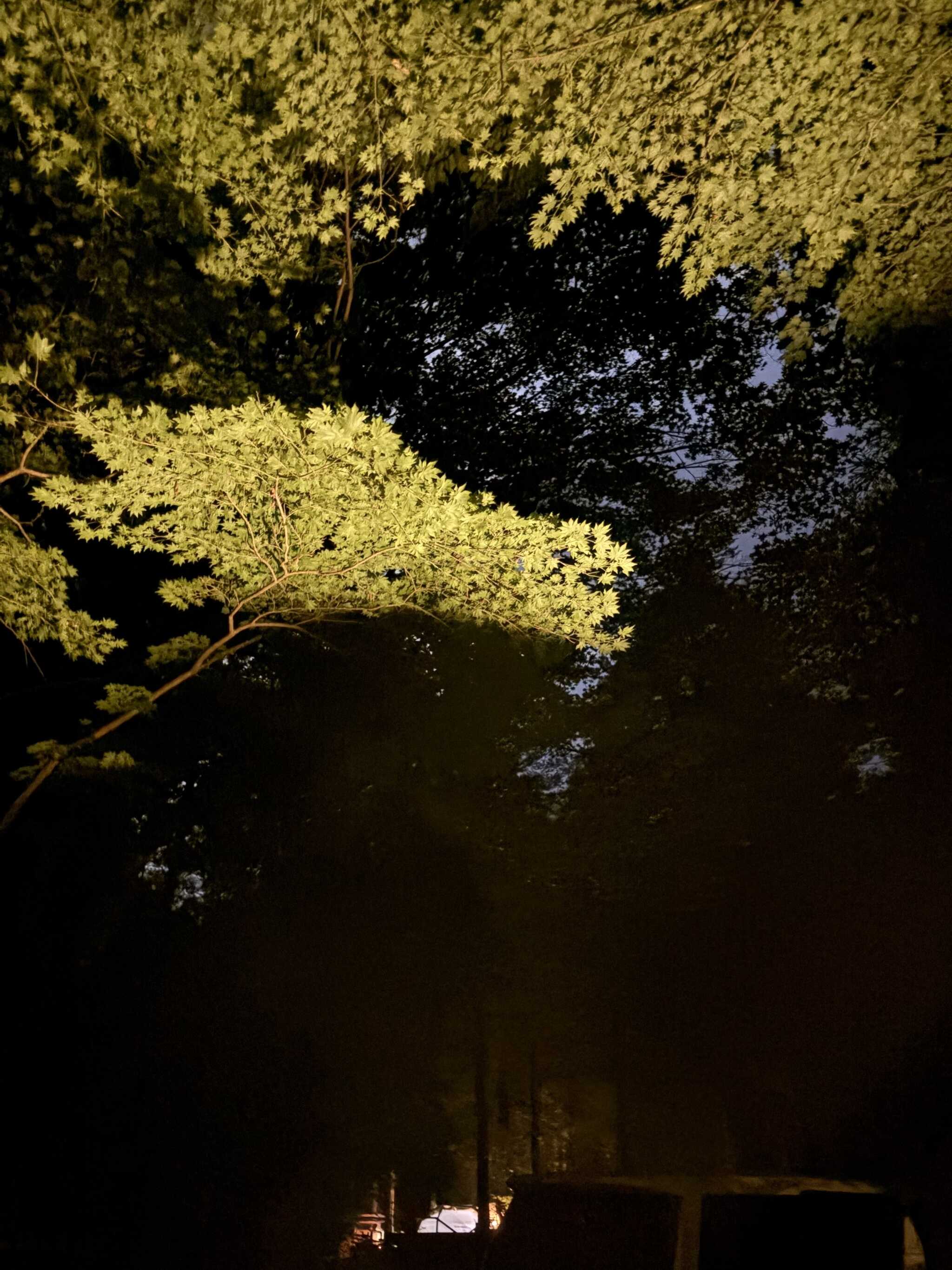 夜の風景