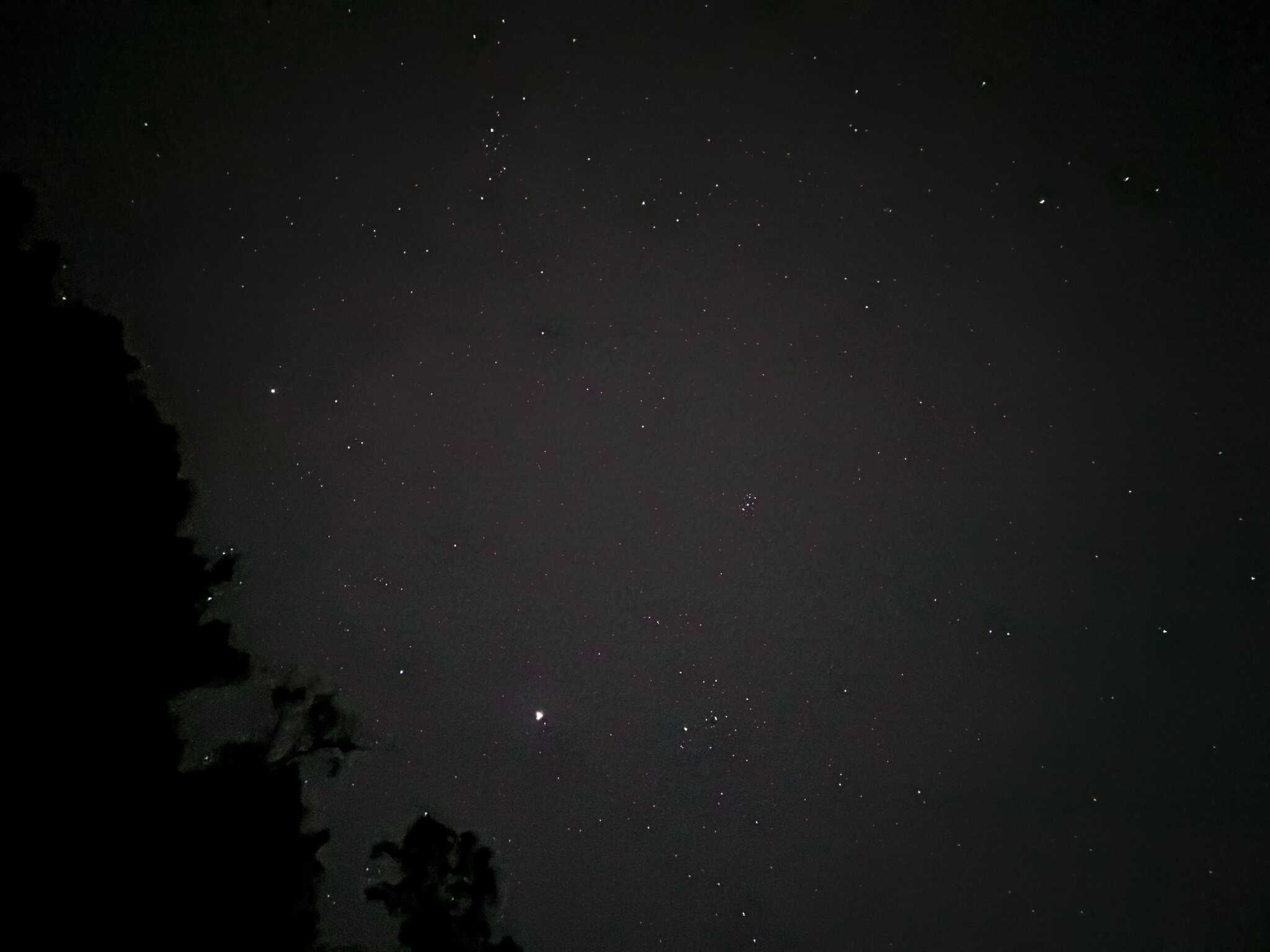 満天の星空
