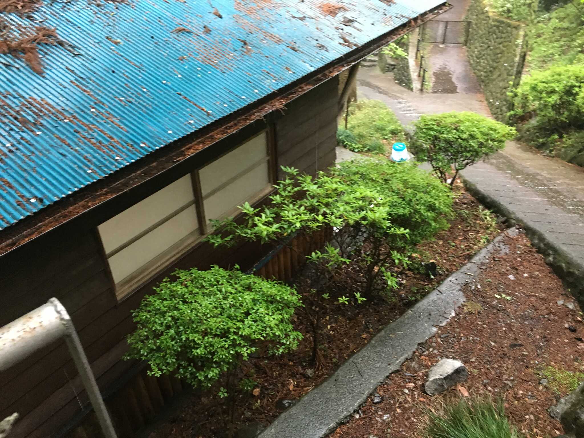 バンガロー