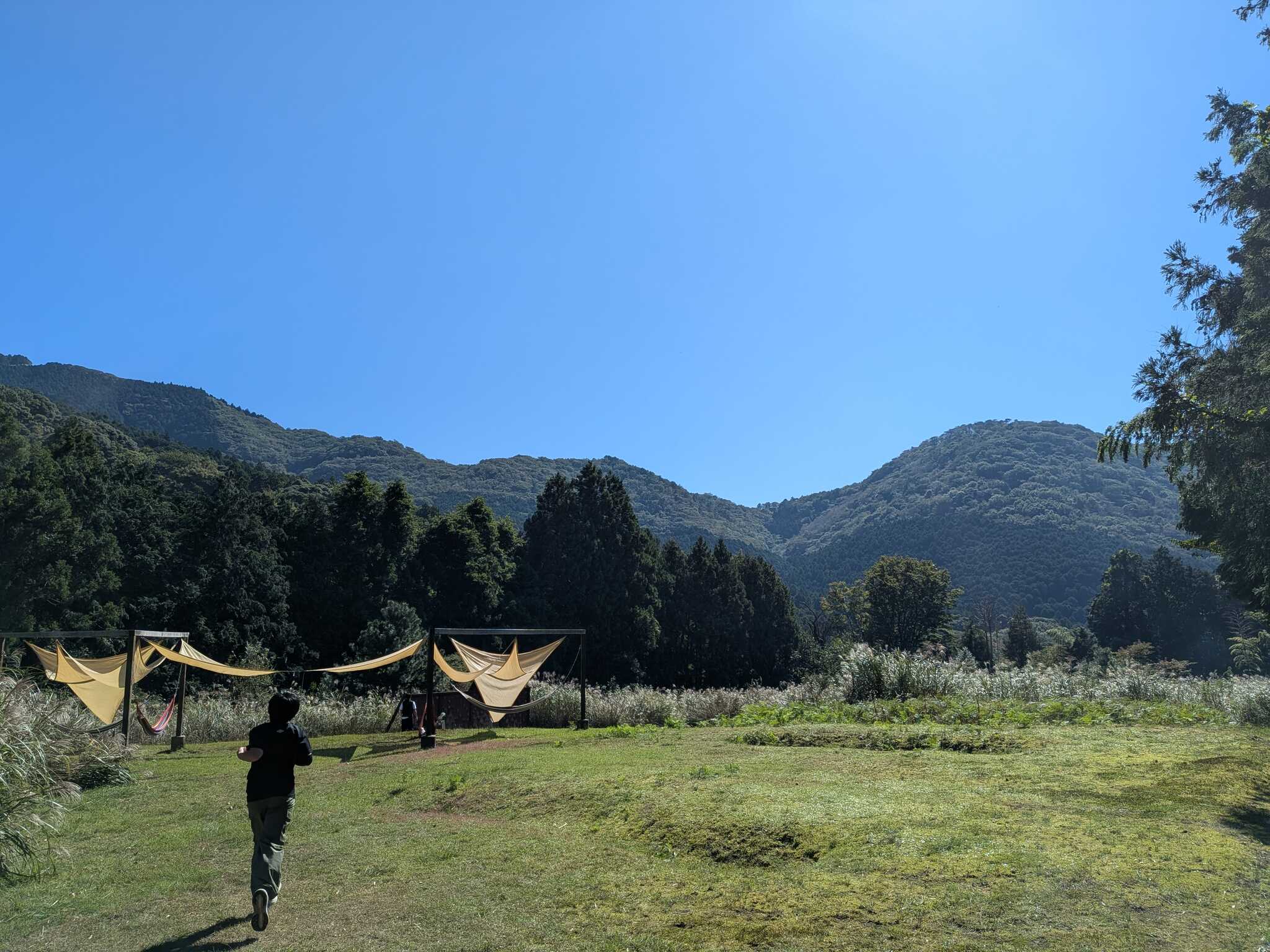 ハンモック広場が最高すぎた
