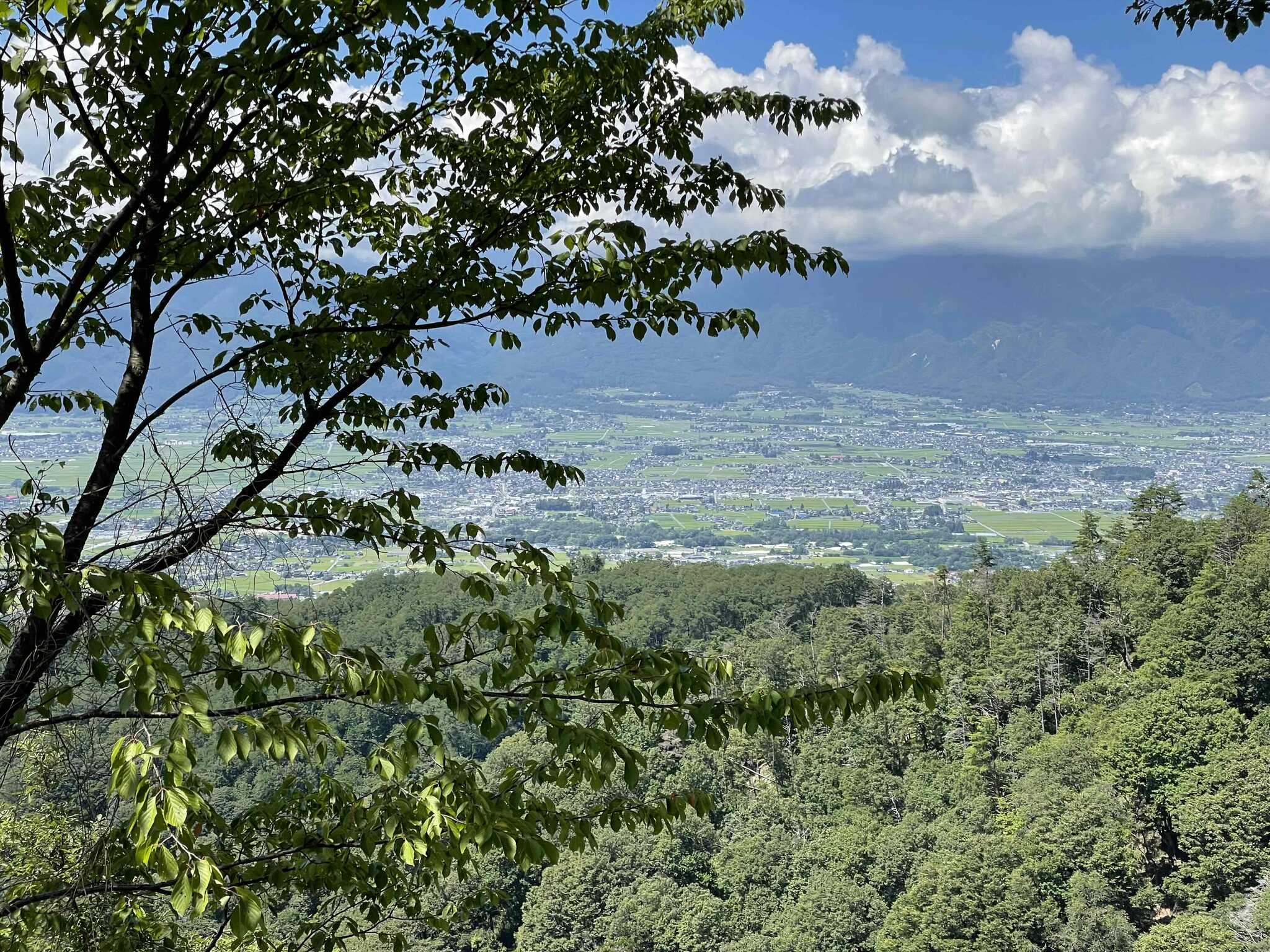 コテージからの眺め