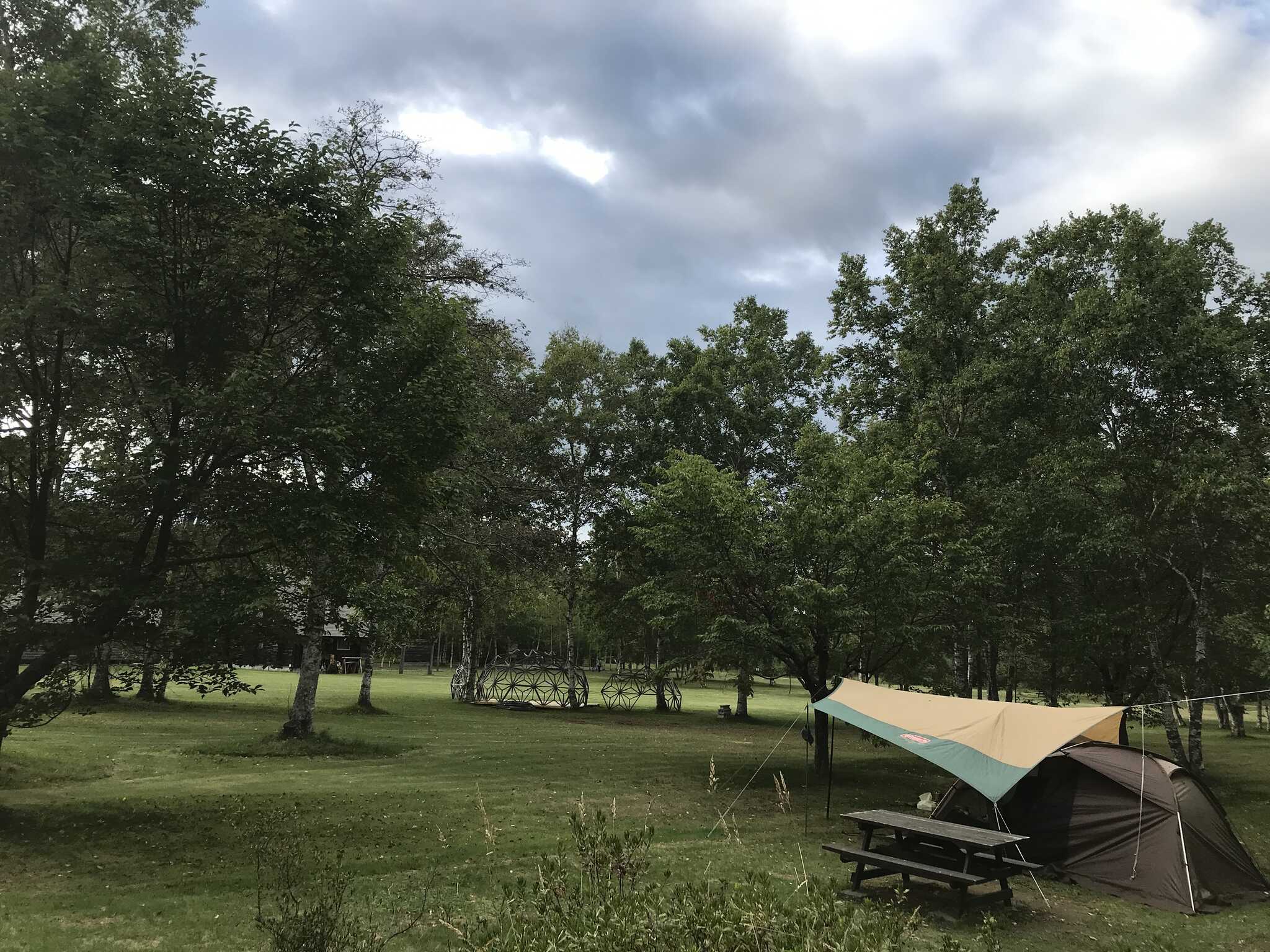 キャンプ場全景
