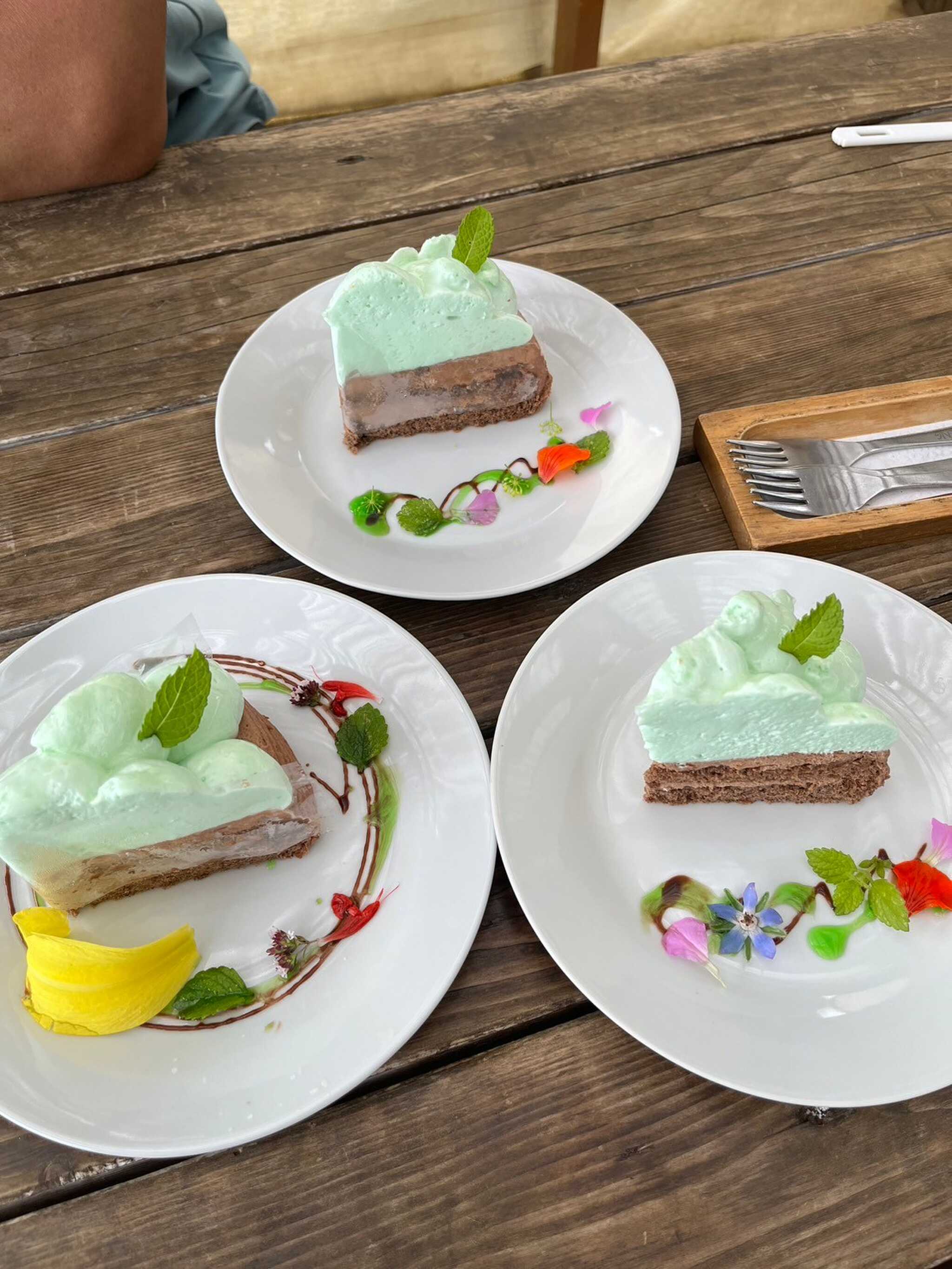 チョコミントケーキ