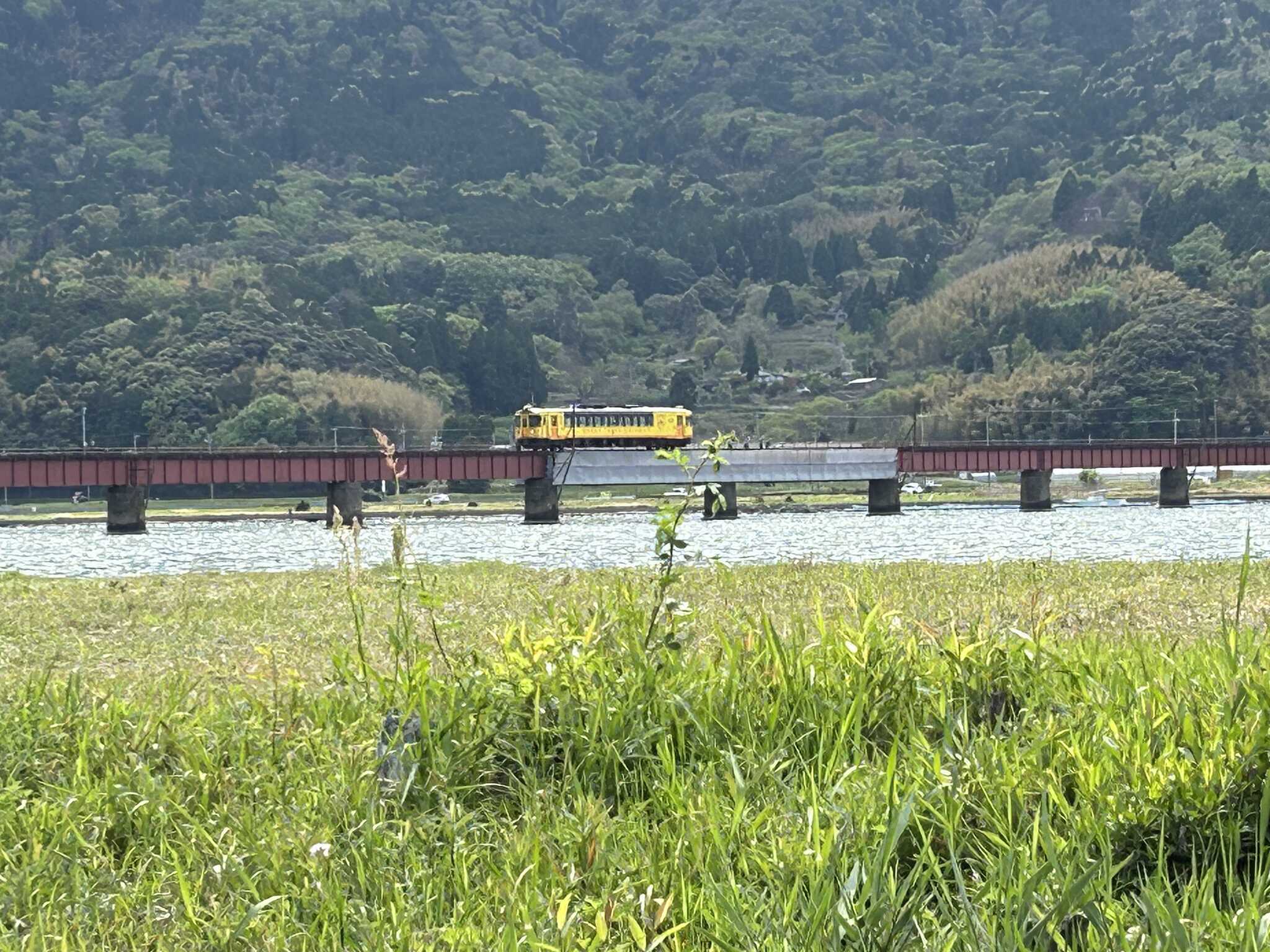 電車