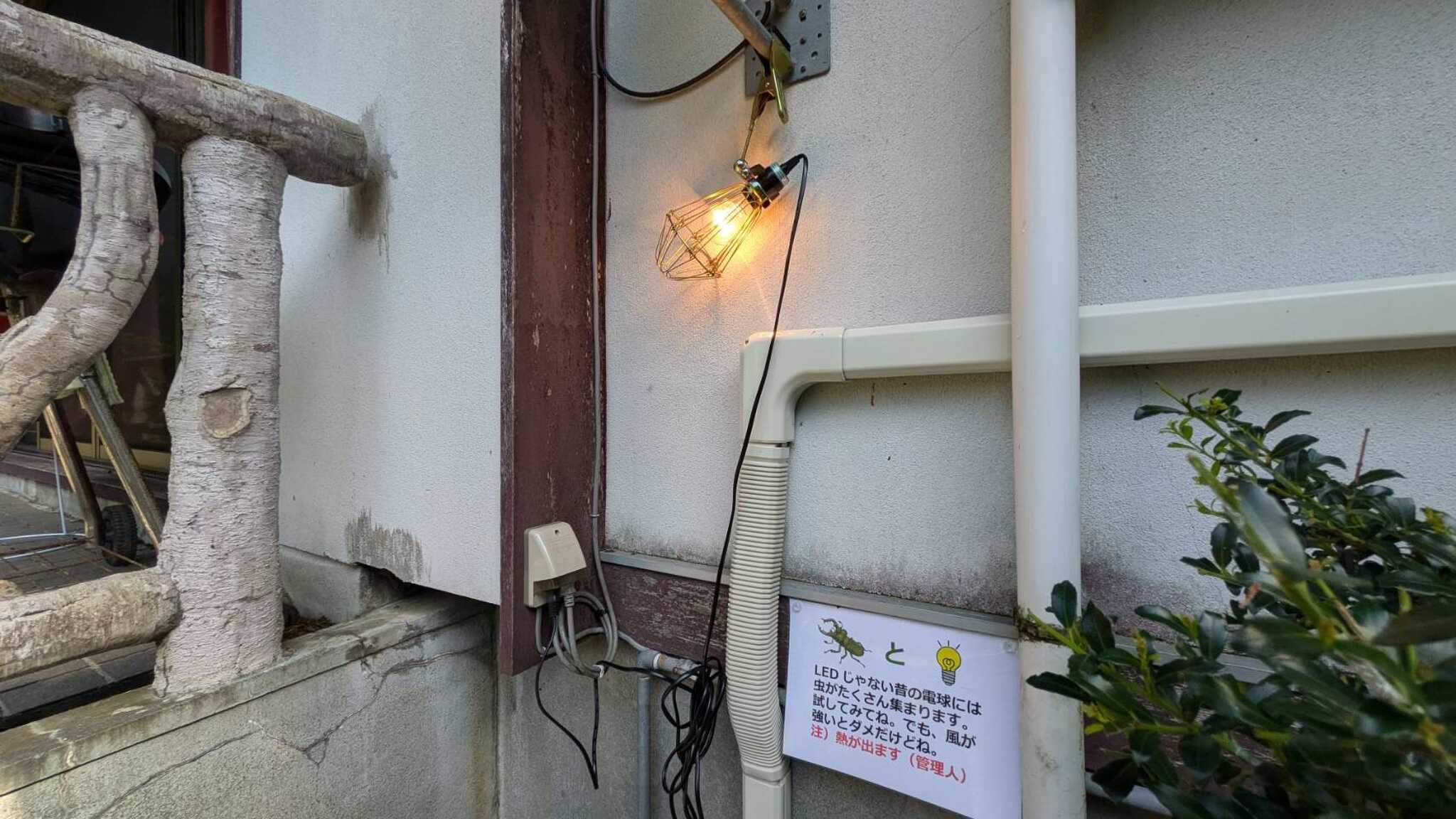 虫取りライト