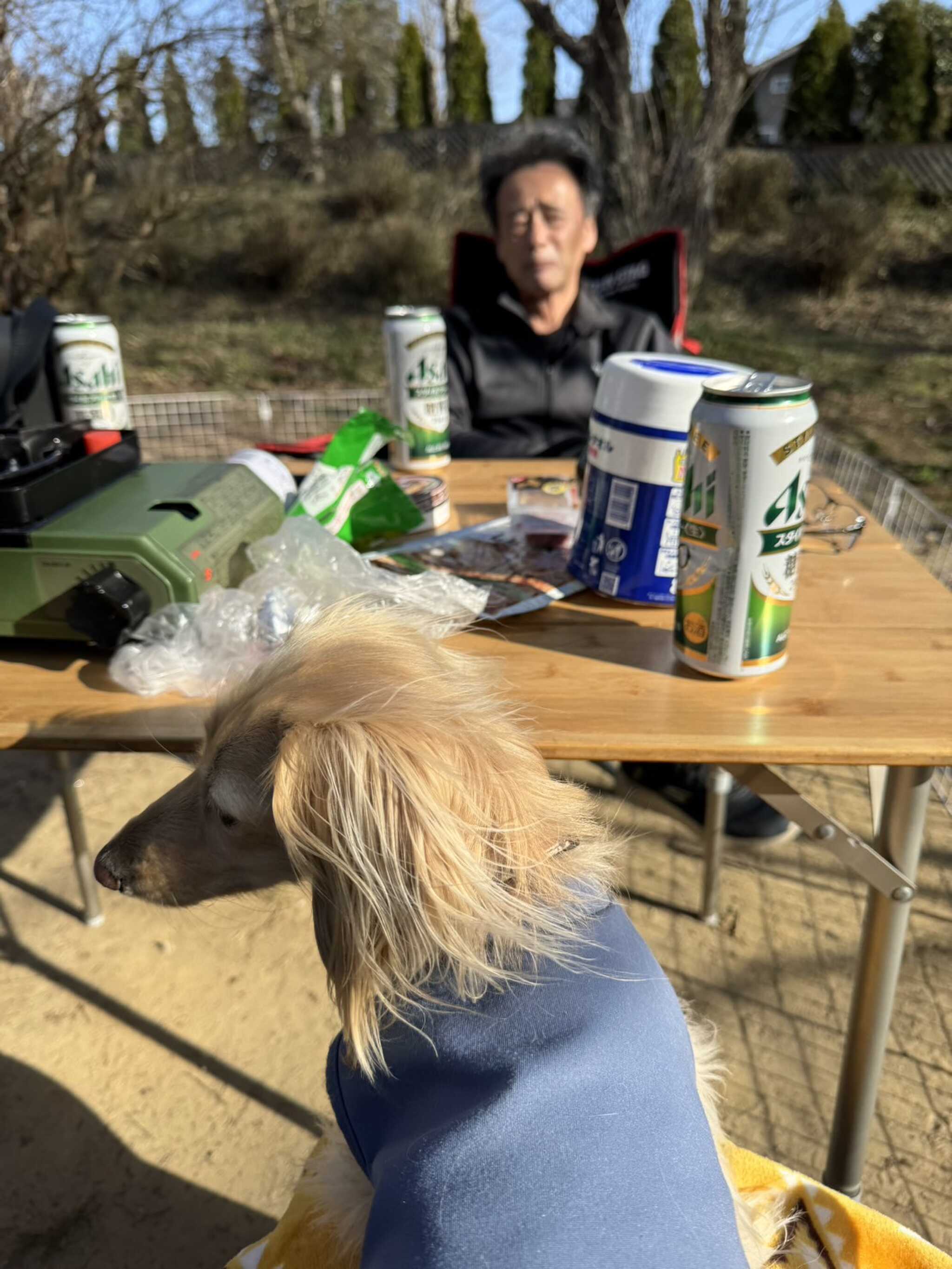 サイト内