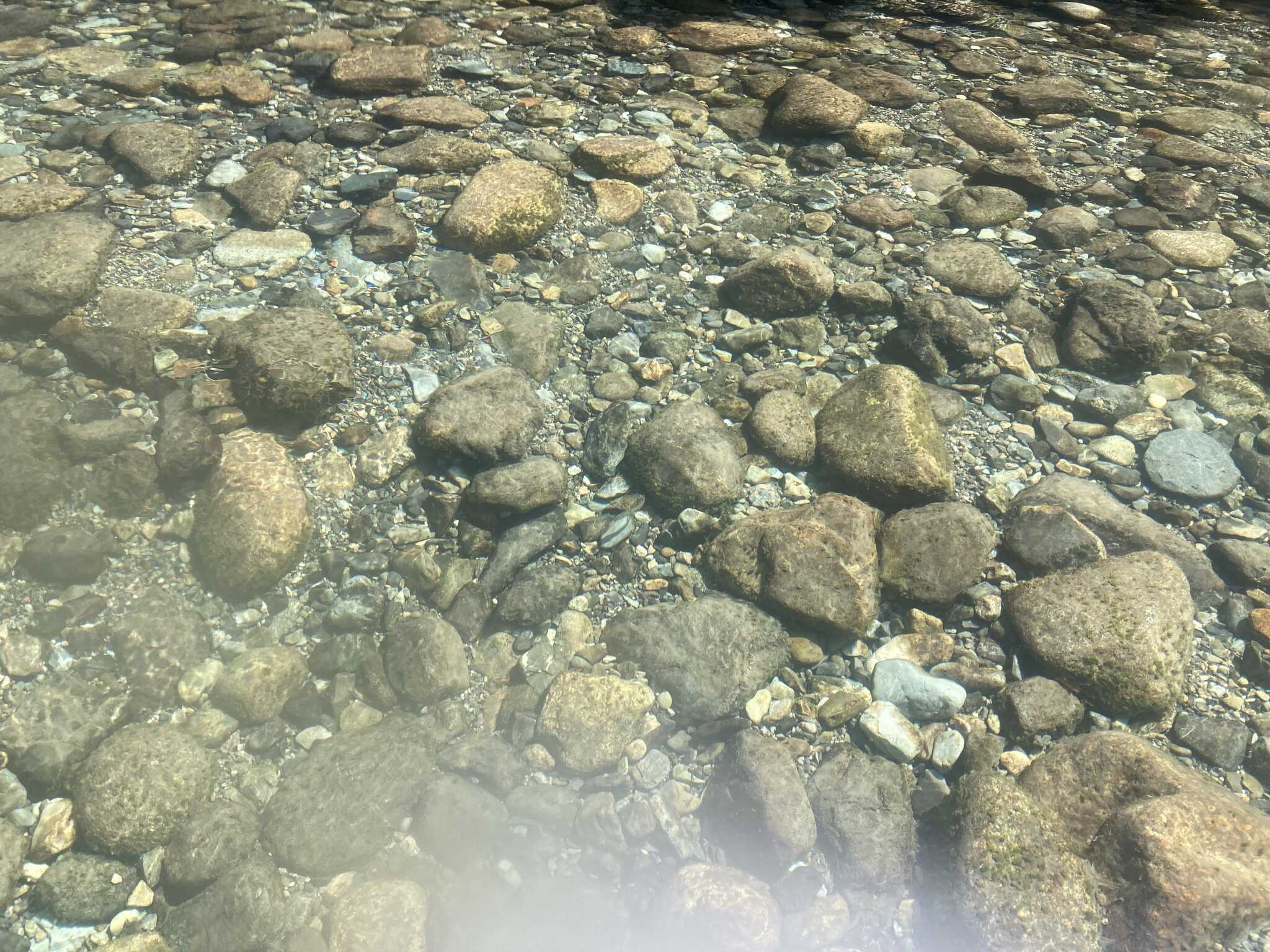 南日裏家族旅行村の写真 3枚目