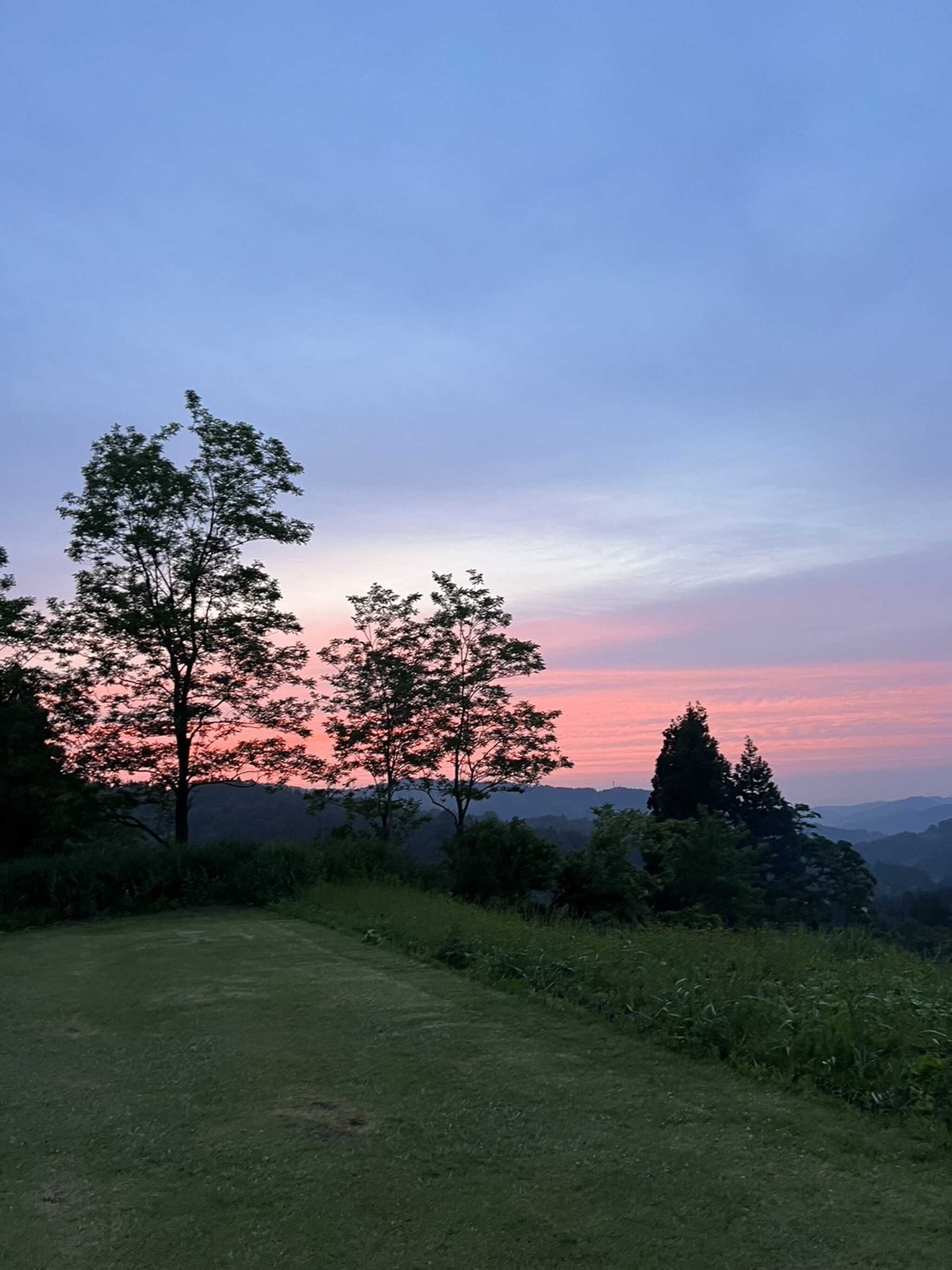 きれいな夕空