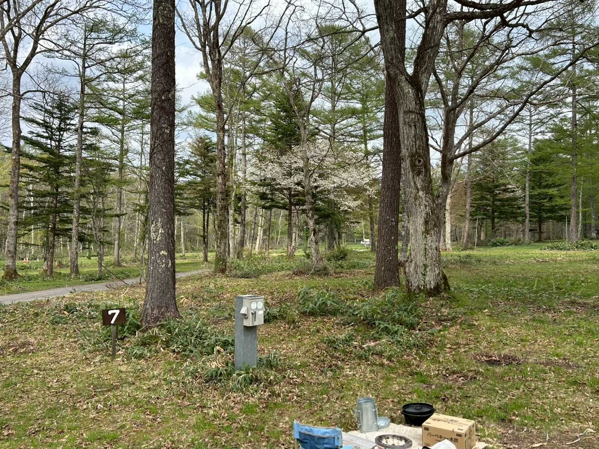 戸隠イースタンキャンプ場の写真 3枚目