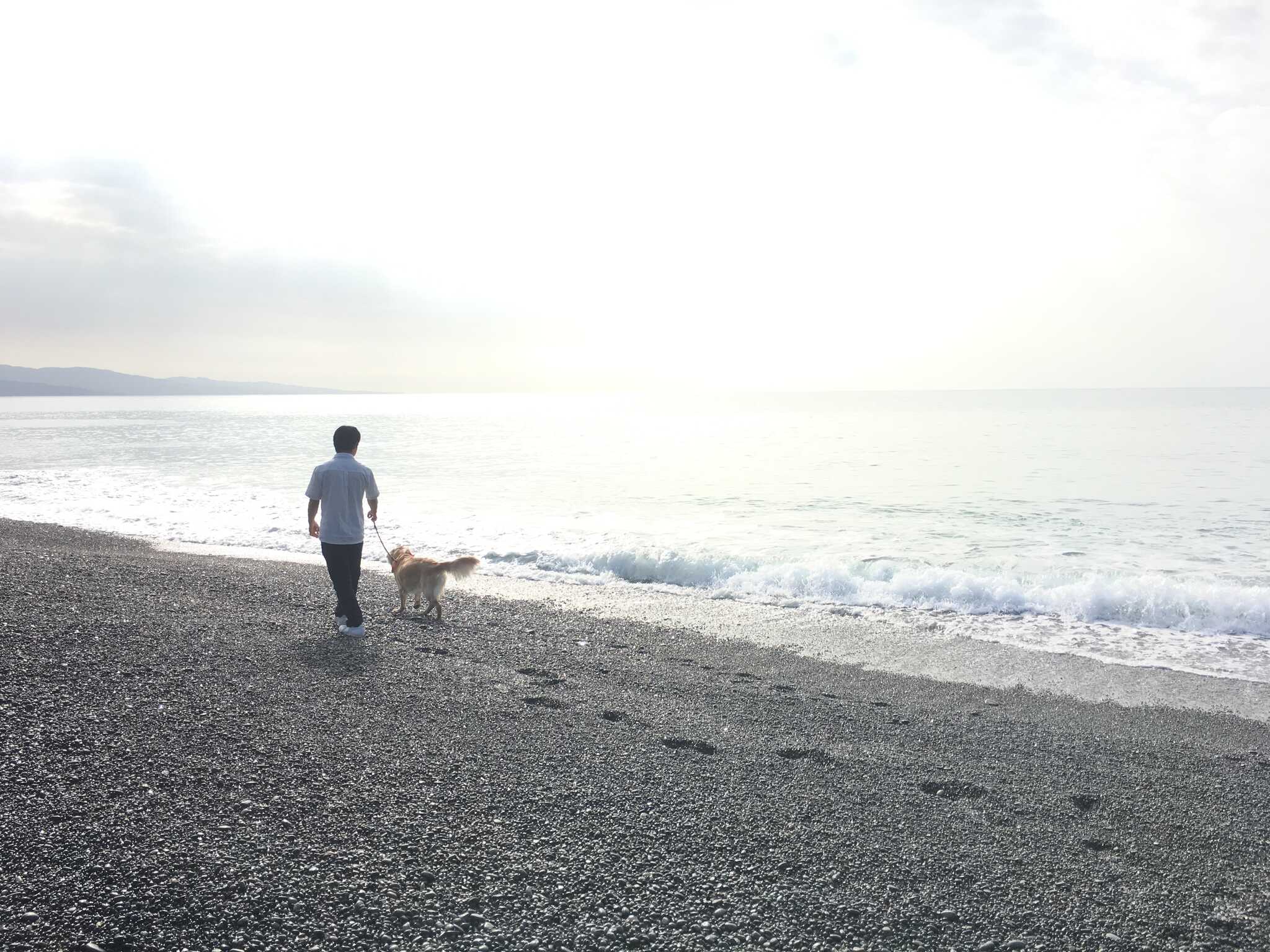 徒歩10分の所に海