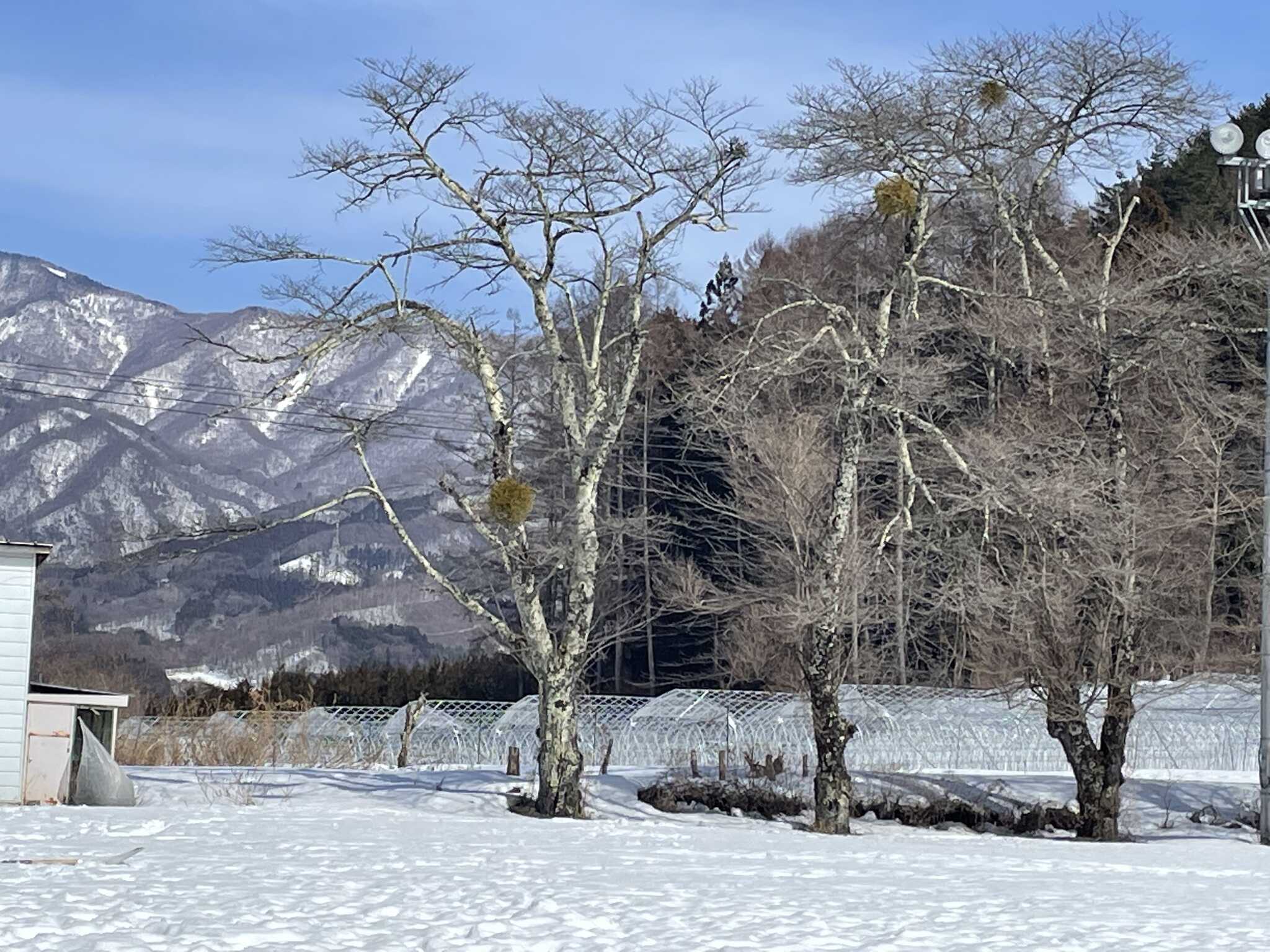 テントから見た風景