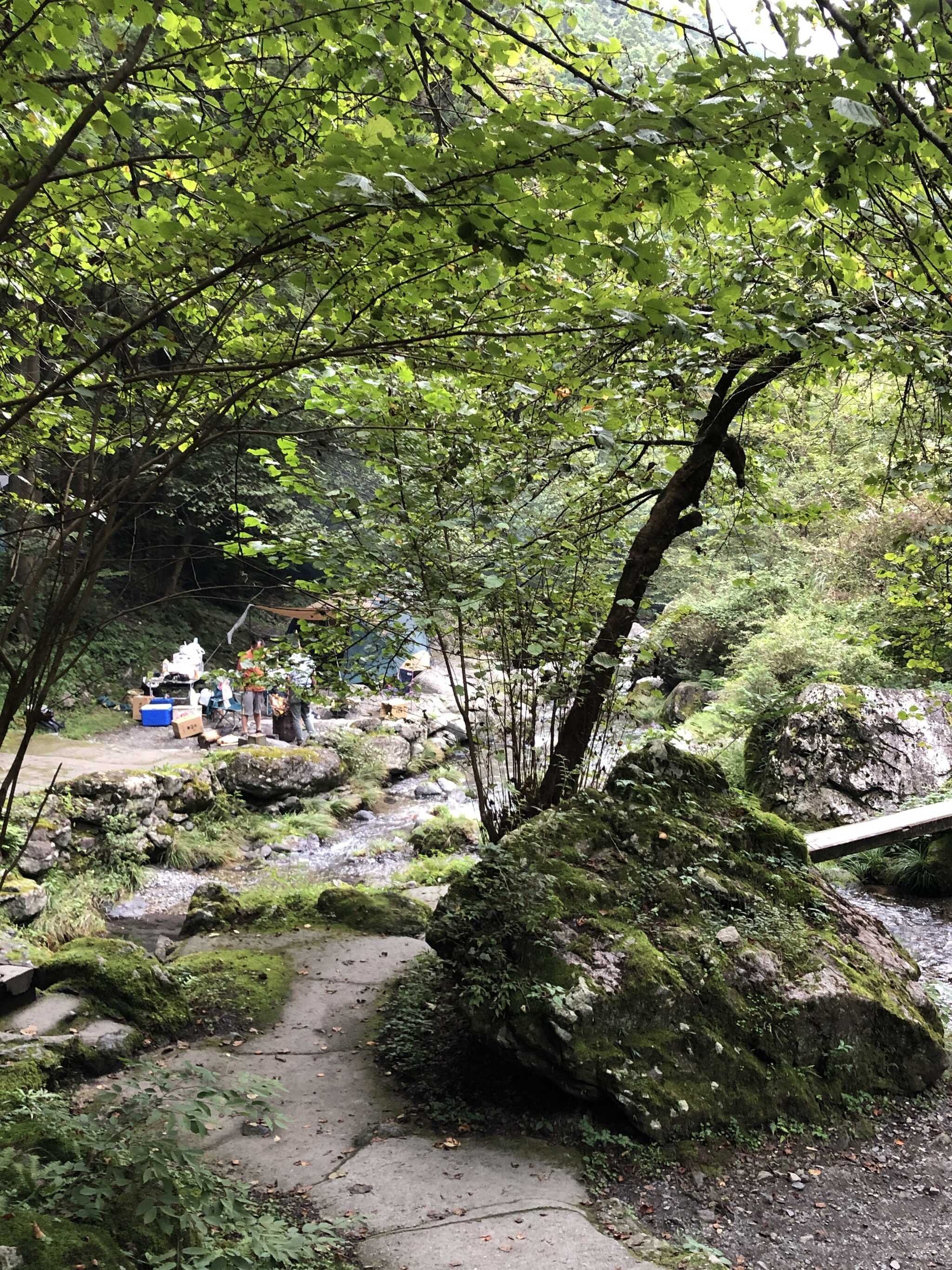 白岩渓流園キャンプ場の写真 5枚目