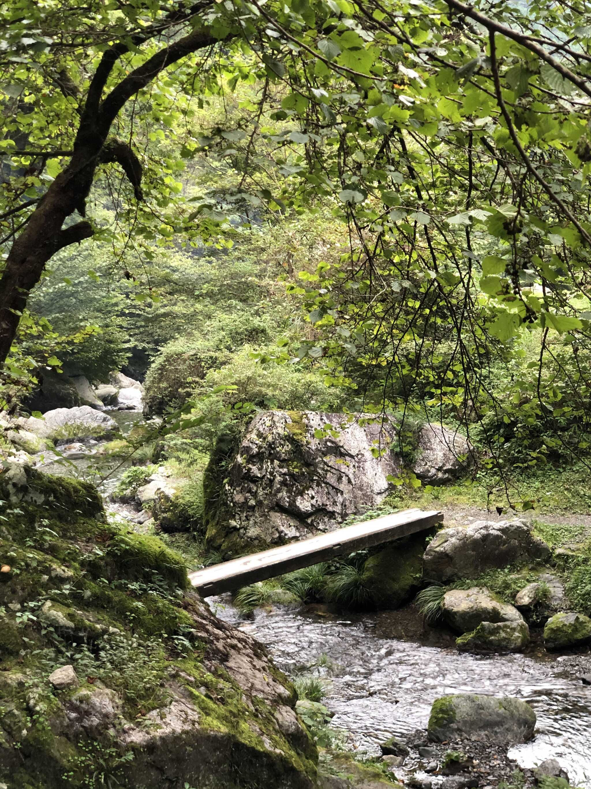白岩渓流園キャンプ場の写真 4枚目