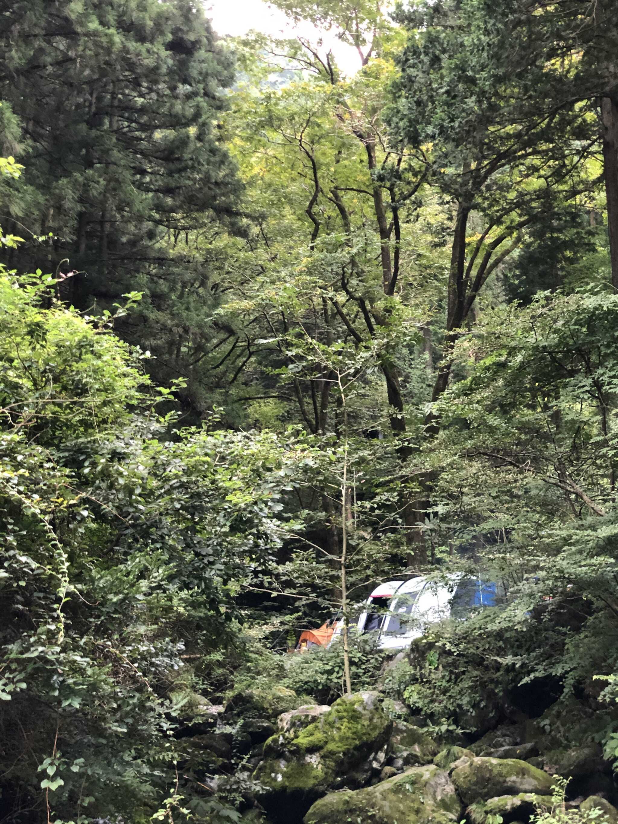 白岩渓流園キャンプ場の写真 3枚目