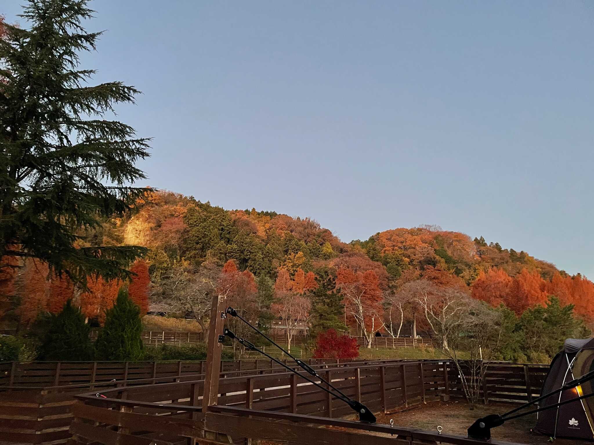 サイトからの紅葉