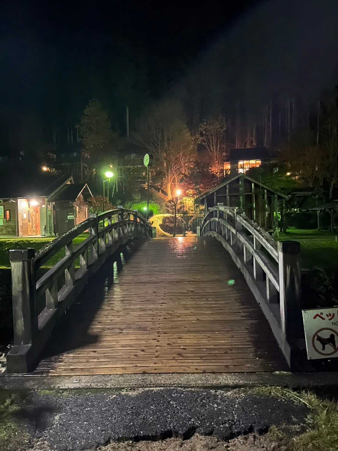 夜の景色