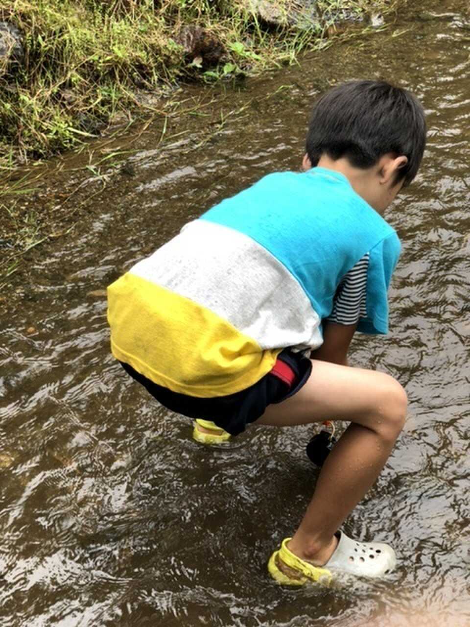 サイト中央の小川でニジマス掴み取り