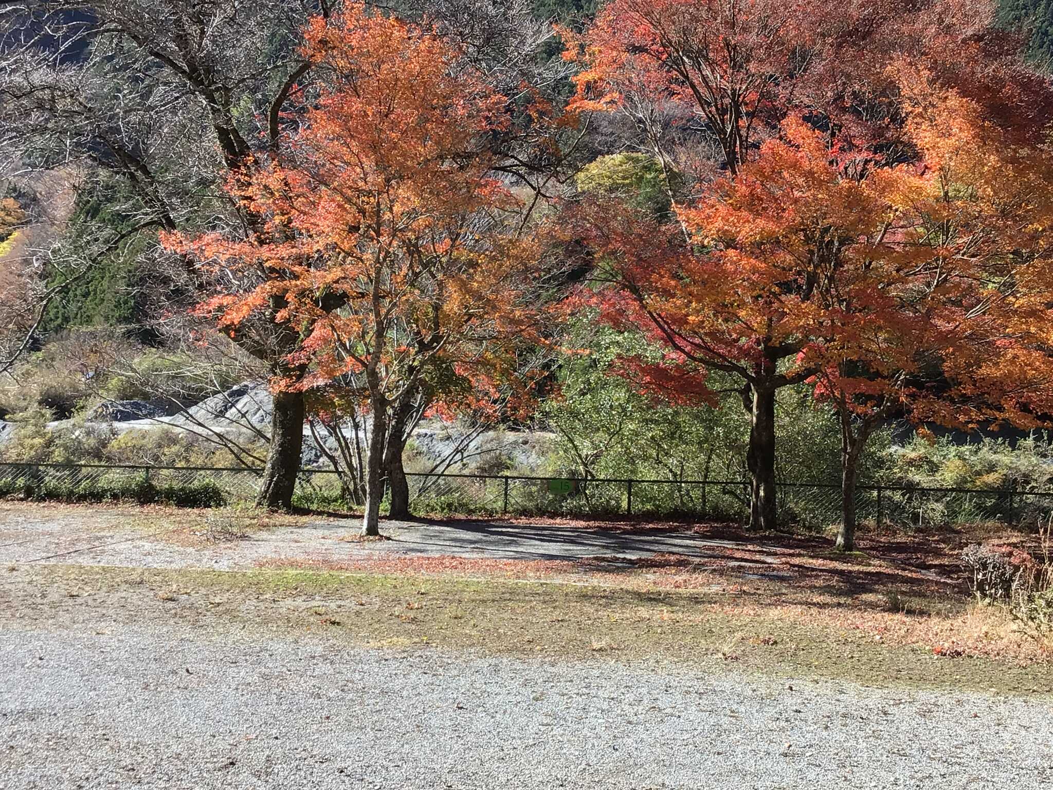 西丹沢中川ロッヂの写真 2枚目