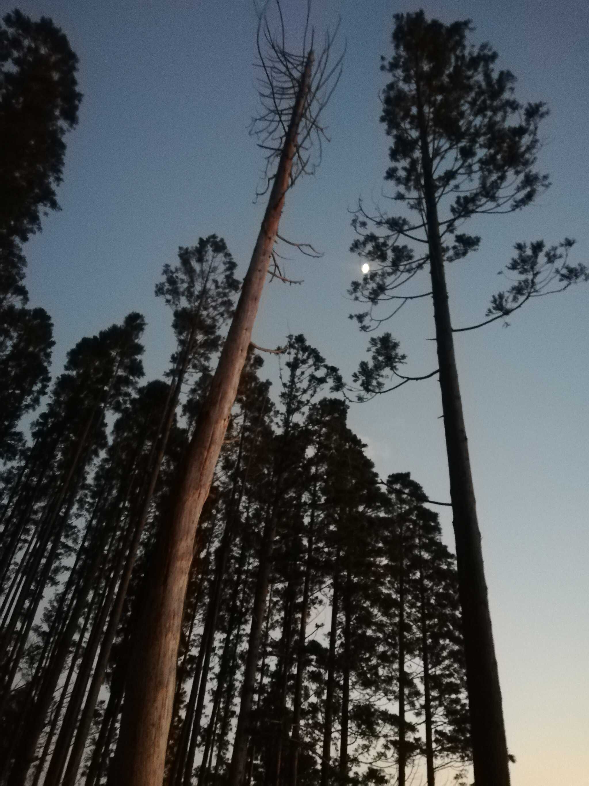 風景
